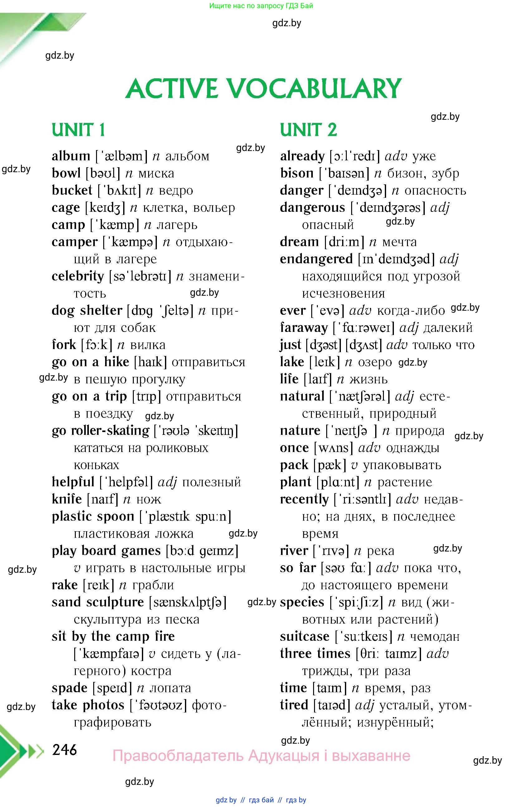 Английский язык (english), 6 класс Учебник, авторы: Юхнель Наталья Валентиновна, Наумова Елена Георгиевна, Малиновская Елена Александровна, издательство Адукацыя i выхаванне, Минск, 2021, страница 246