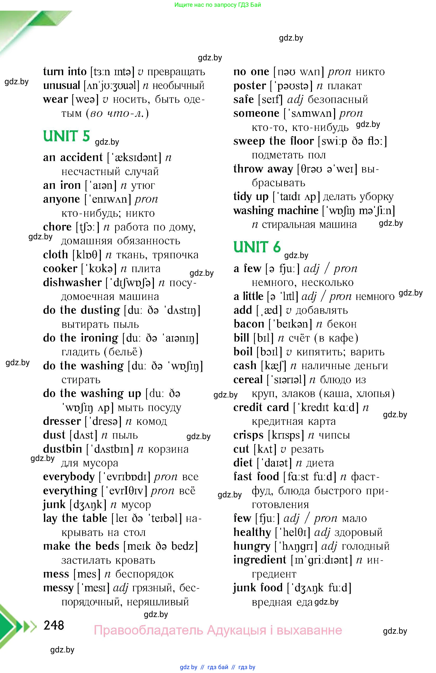 Английский язык (english), 6 класс Учебник, авторы: Юхнель Наталья Валентиновна, Наумова Елена Георгиевна, Малиновская Елена Александровна, издательство Адукацыя i выхаванне, Минск, 2021, страница 248