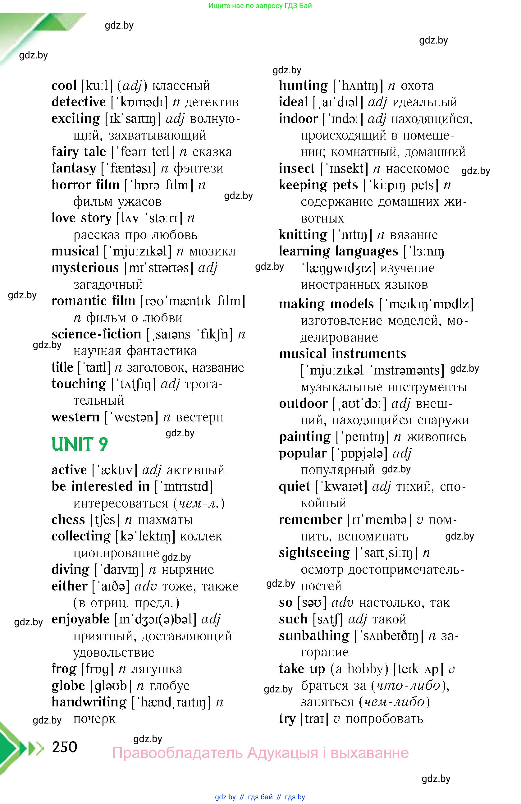 Английский язык (english), 6 класс Учебник, авторы: Юхнель Наталья Валентиновна, Наумова Елена Георгиевна, Малиновская Елена Александровна, издательство Адукацыя i выхаванне, Минск, 2021, страница 250