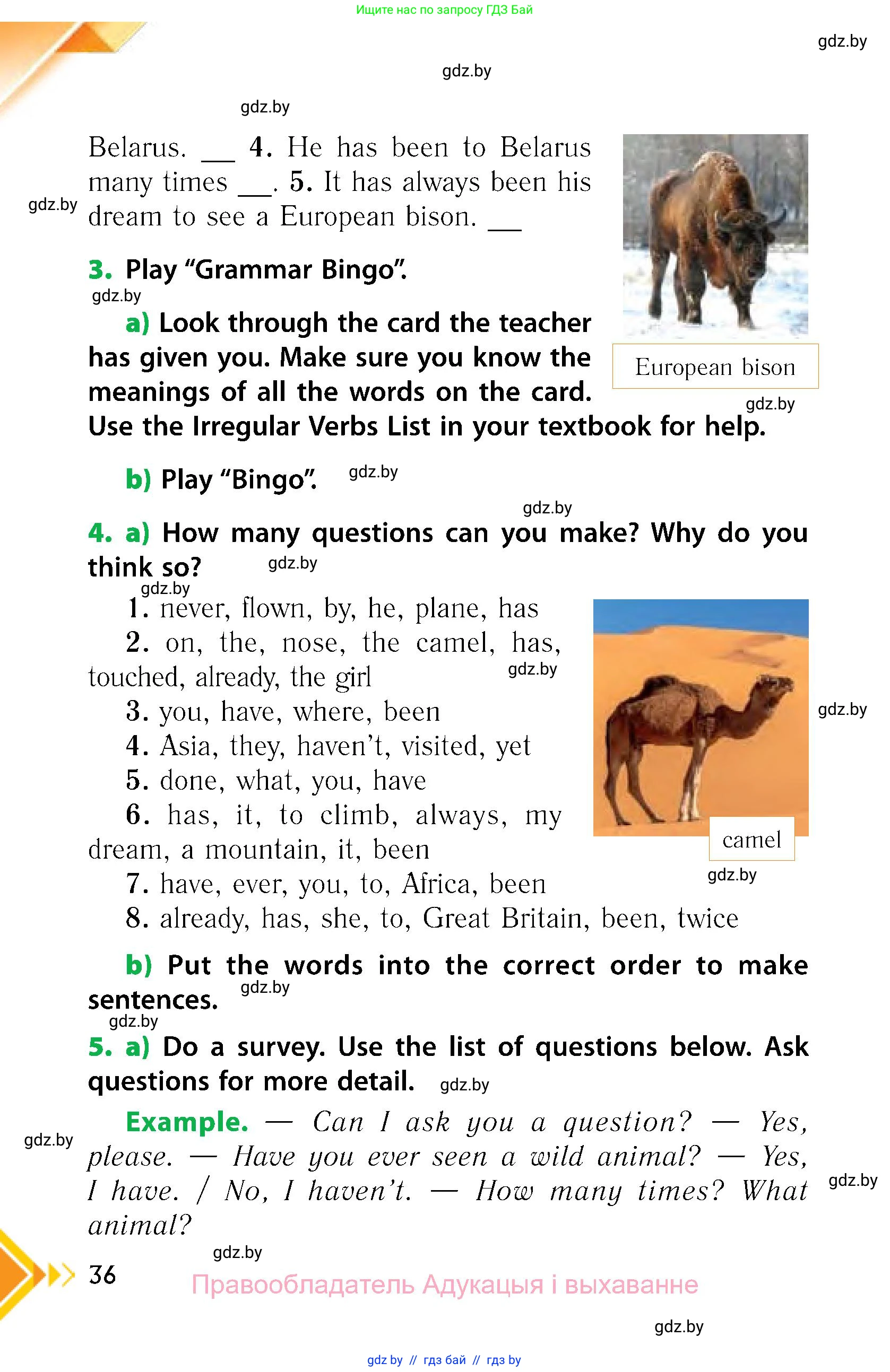 Английский язык (english), 6 класс Учебник, авторы: Юхнель Наталья Валентиновна, Наумова Елена Георгиевна, Малиновская Елена Александровна, издательство Адукацыя i выхаванне, Минск, 2021, страница 36