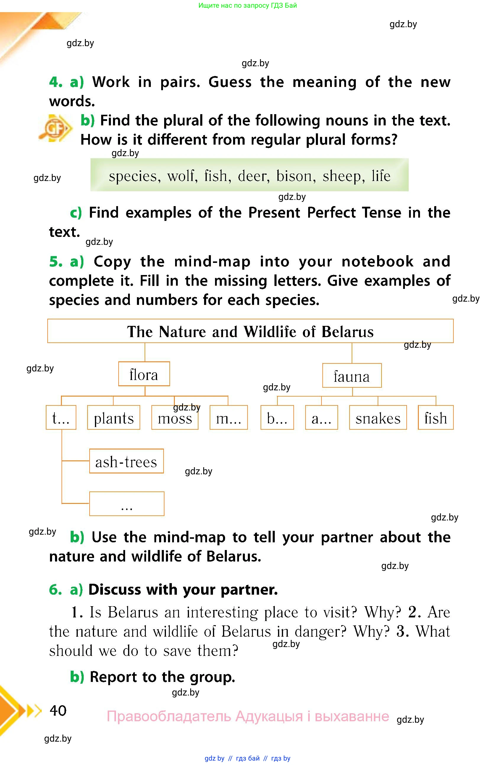 Английский язык (english), 6 класс Учебник, авторы: Юхнель Наталья Валентиновна, Наумова Елена Георгиевна, Малиновская Елена Александровна, издательство Адукацыя i выхаванне, Минск, 2021, страница 40