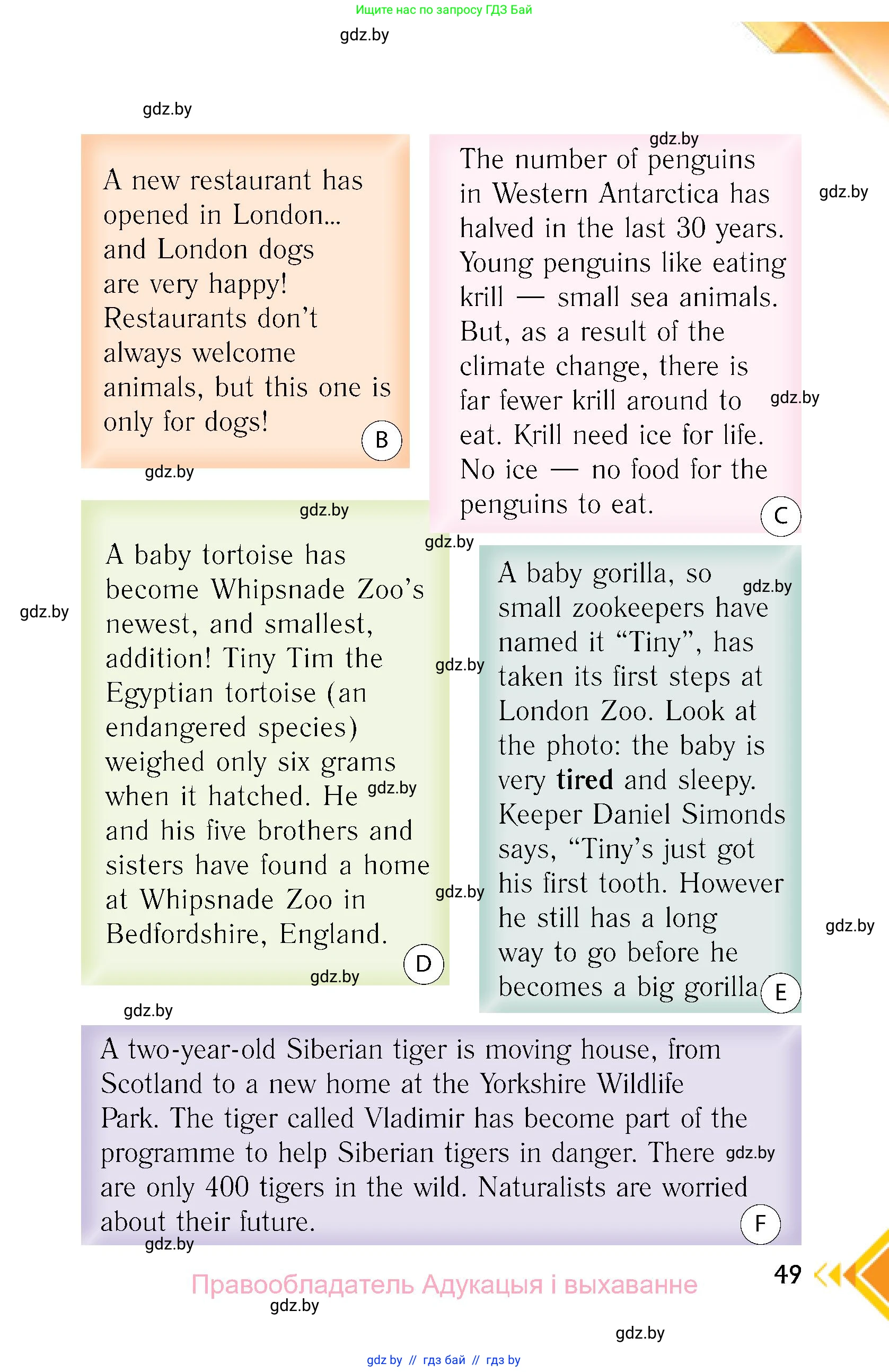 Английский язык (english), 6 класс Учебник, авторы: Юхнель Наталья Валентиновна, Наумова Елена Георгиевна, Малиновская Елена Александровна, издательство Адукацыя i выхаванне, Минск, 2021, страница 49