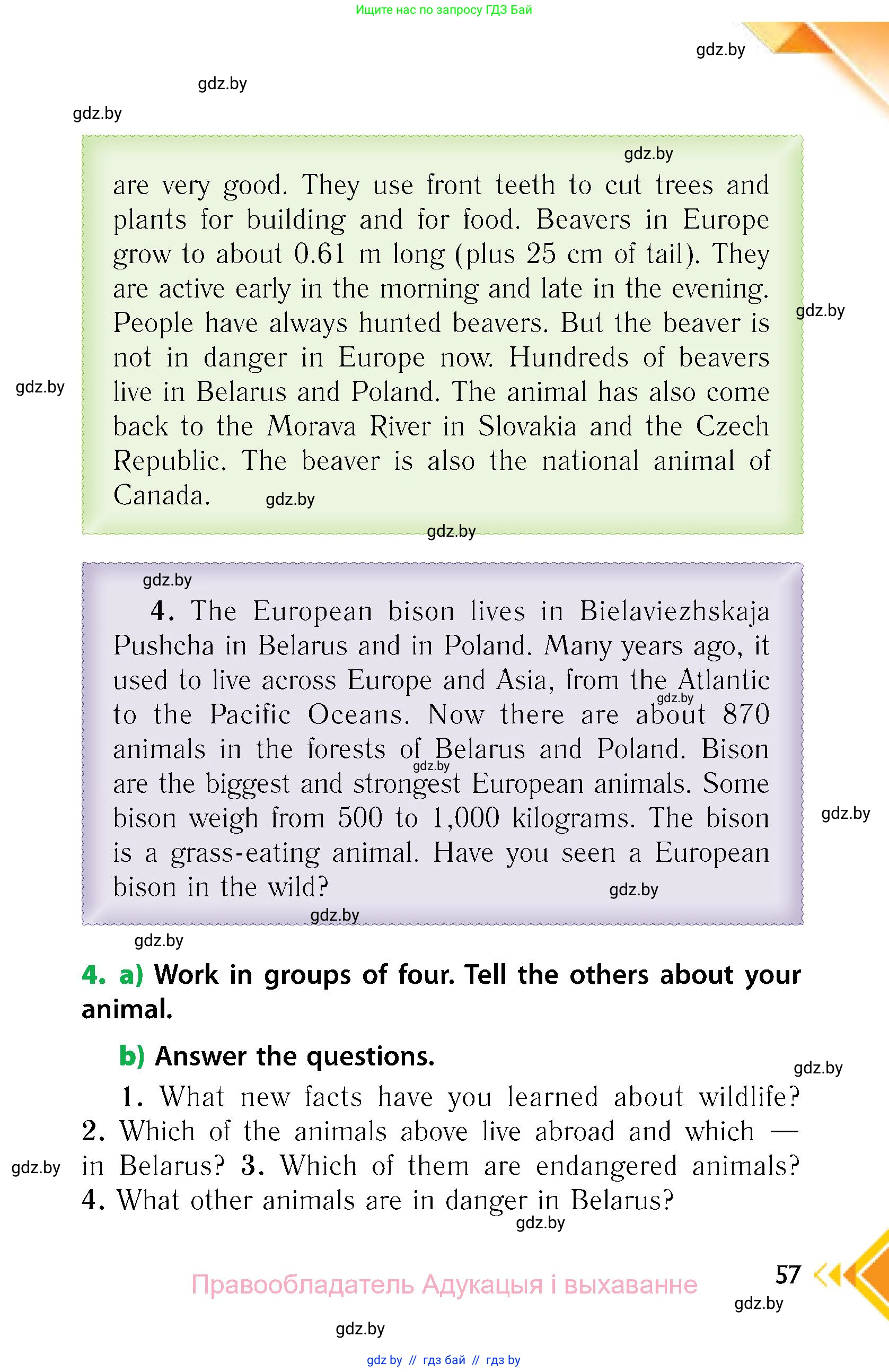 Английский язык (english), 6 класс Учебник, авторы: Юхнель Наталья Валентиновна, Наумова Елена Георгиевна, Малиновская Елена Александровна, издательство Адукацыя i выхаванне, Минск, 2021, страница 57