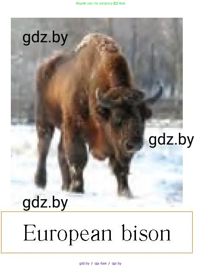 Английский язык (english), 6 класс Учебник, авторы: Юхнель Наталья Валентиновна, Наумова Елена Георгиевна, Малиновская Елена Александровна, издательство Адукацыя i выхаванне, Минск, 2021, страница 35, номер 2, Условие (продолжение 3)