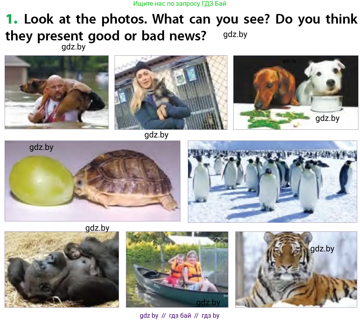 Английский язык (english), 6 класс Учебник, авторы: Юхнель Наталья Валентиновна, Наумова Елена Георгиевна, Малиновская Елена Александровна, издательство Адукацыя i выхаванне, Минск, 2021, страница 48, номер 1, Условие