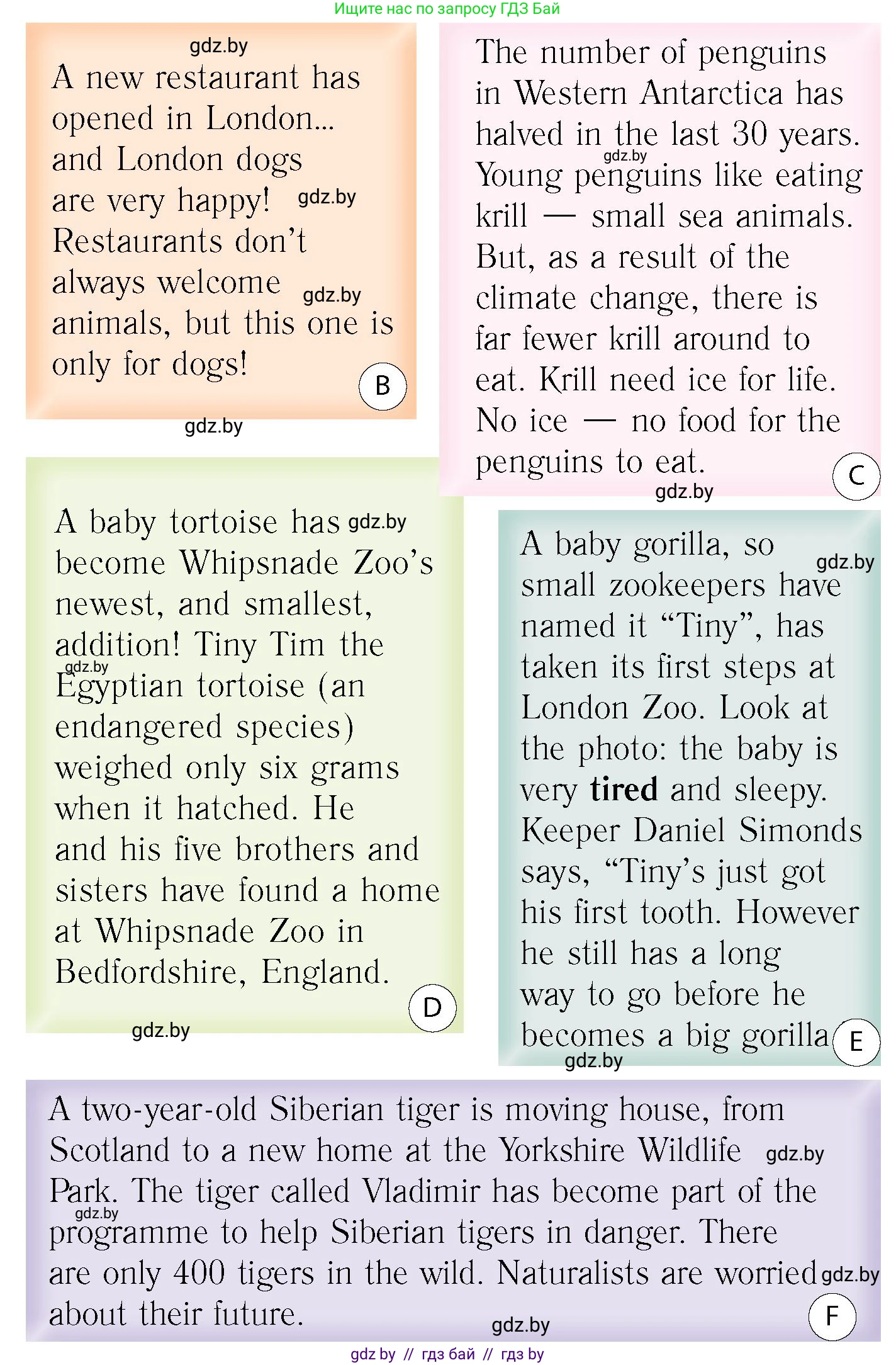 Английский язык (english), 6 класс Учебник, авторы: Юхнель Наталья Валентиновна, Наумова Елена Георгиевна, Малиновская Елена Александровна, издательство Адукацыя i выхаванне, Минск, 2021, страница 48, номер 2, Условие (продолжение 2)