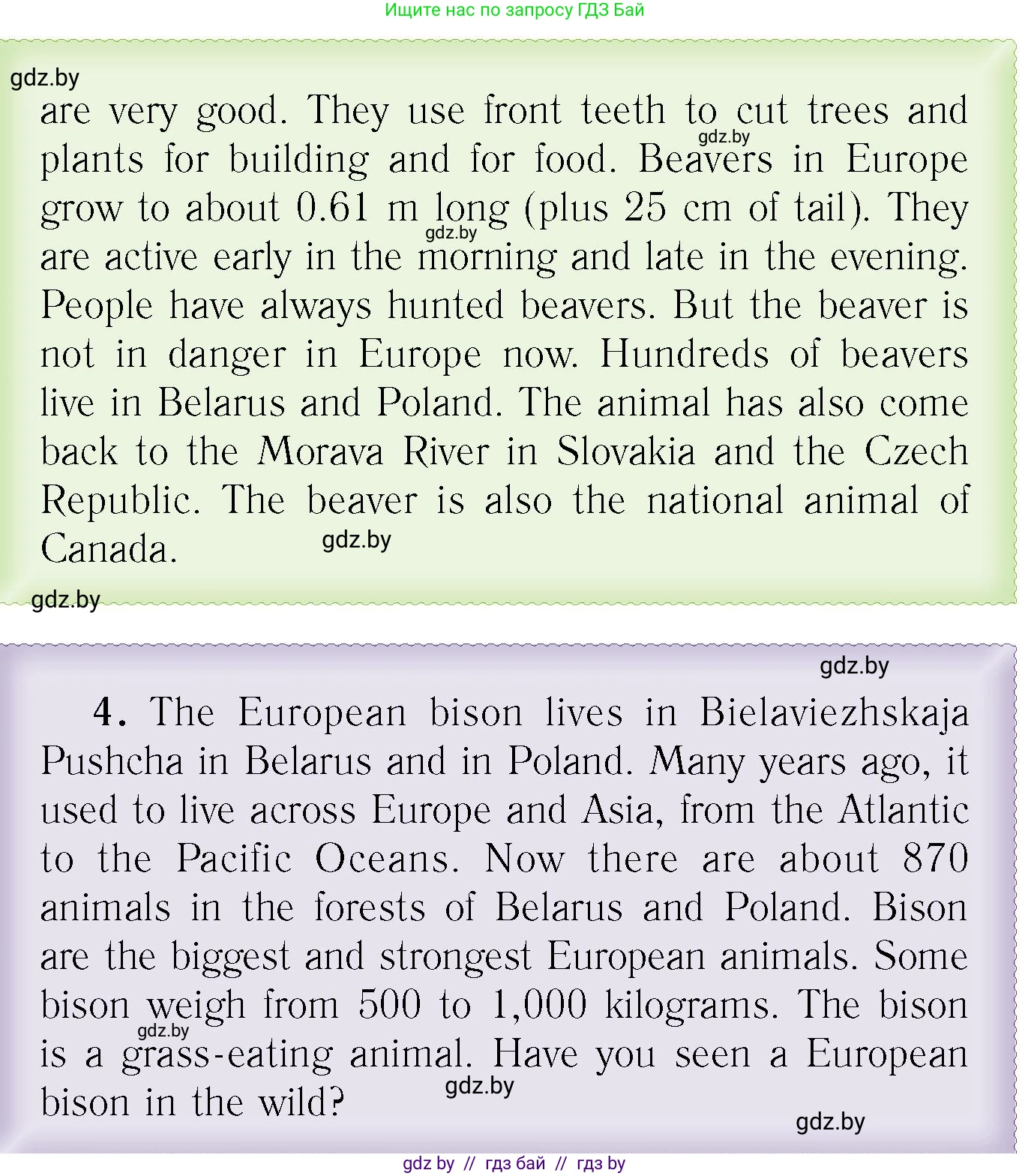 Английский язык (english), 6 класс Учебник, авторы: Юхнель Наталья Валентиновна, Наумова Елена Георгиевна, Малиновская Елена Александровна, издательство Адукацыя i выхаванне, Минск, 2021, страница 55, номер 3, Условие (продолжение 3)