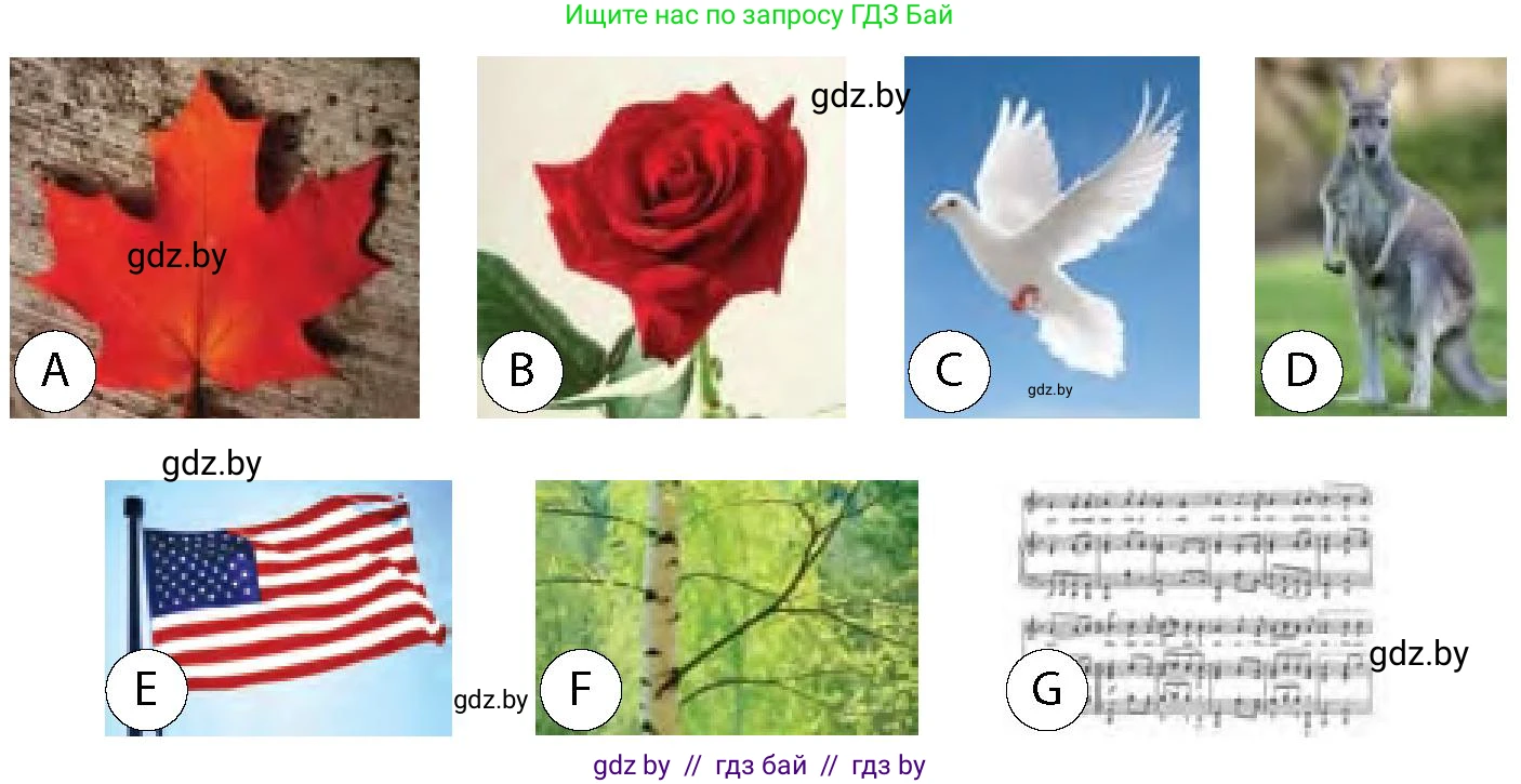 Английский язык (english), 6 класс Учебник, авторы: Юхнель Наталья Валентиновна, Наумова Елена Георгиевна, Малиновская Елена Александровна, издательство Адукацыя i выхаванне, Минск, 2021, страница 61, номер 4, Условие (продолжение 2)