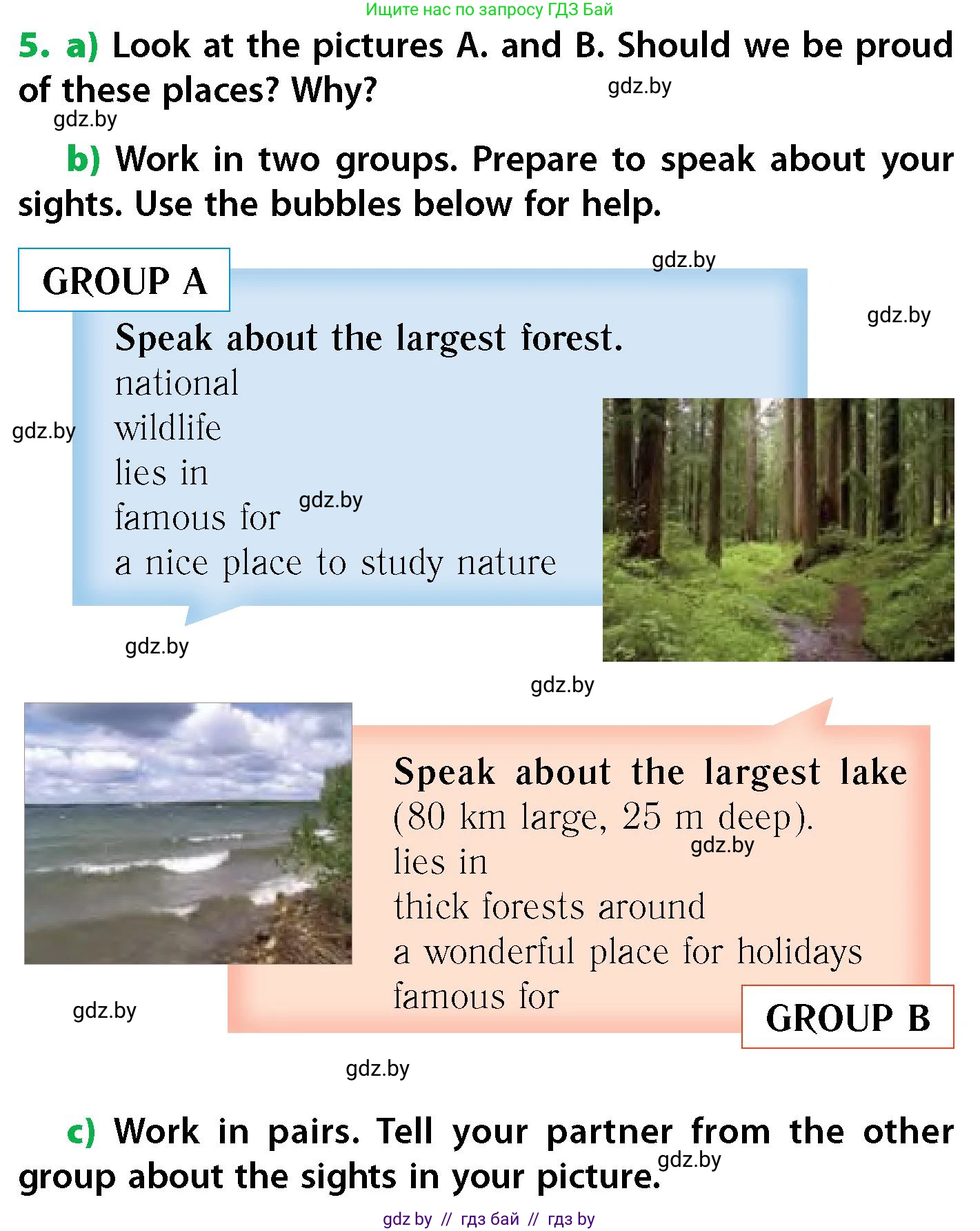 Английский язык (english), 6 класс Учебник, авторы: Юхнель Наталья Валентиновна, Наумова Елена Георгиевна, Малиновская Елена Александровна, издательство Адукацыя i выхаванне, Минск, 2021, страница 87, номер 5, Условие