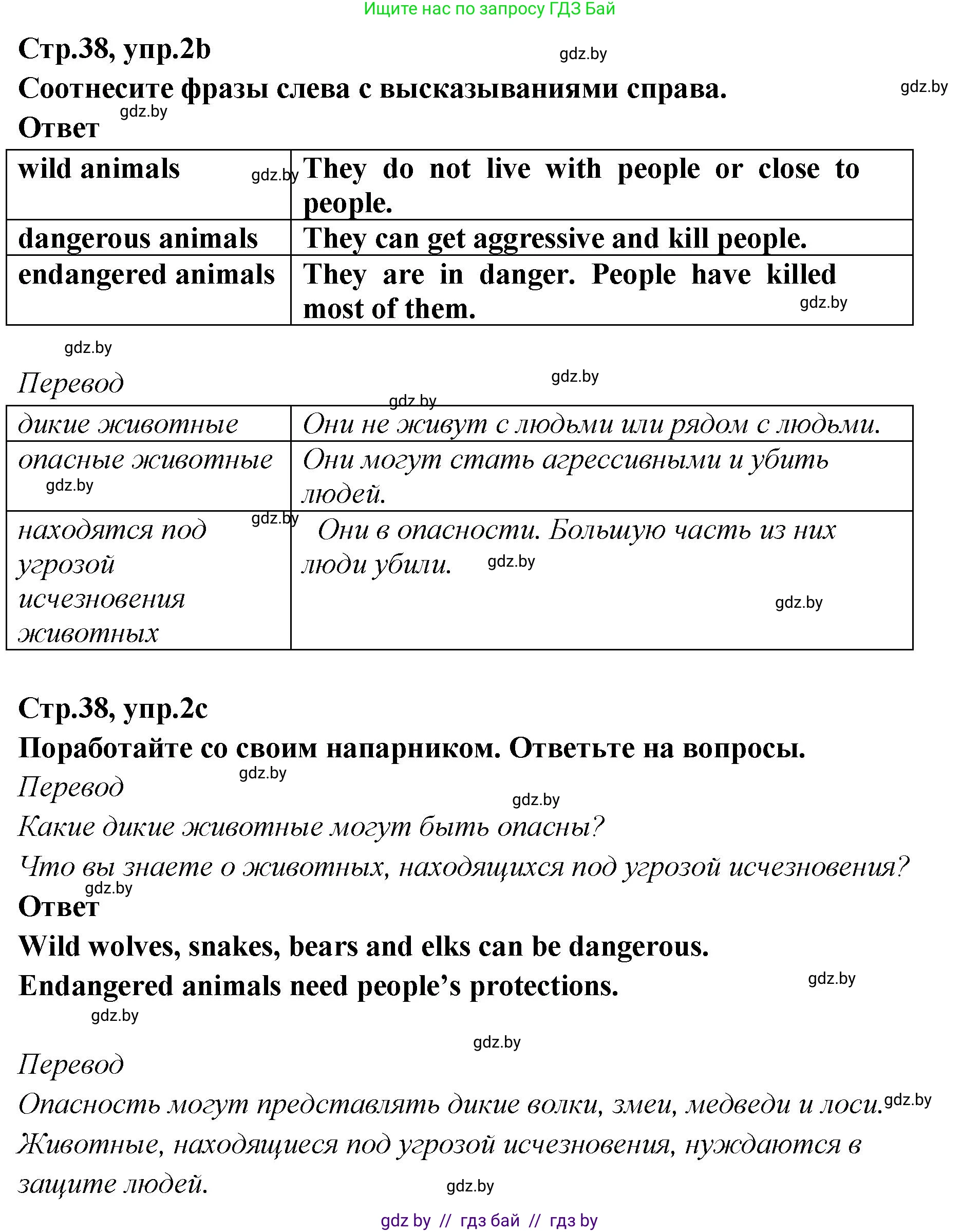 Английский язык (english), 6 класс Учебник, авторы: Юхнель Наталья Валентиновна, Наумова Елена Георгиевна, Малиновская Елена Александровна, издательство Адукацыя i выхаванне, Минск, 2021, страница 38, номер 2, Решение (продолжение 2)