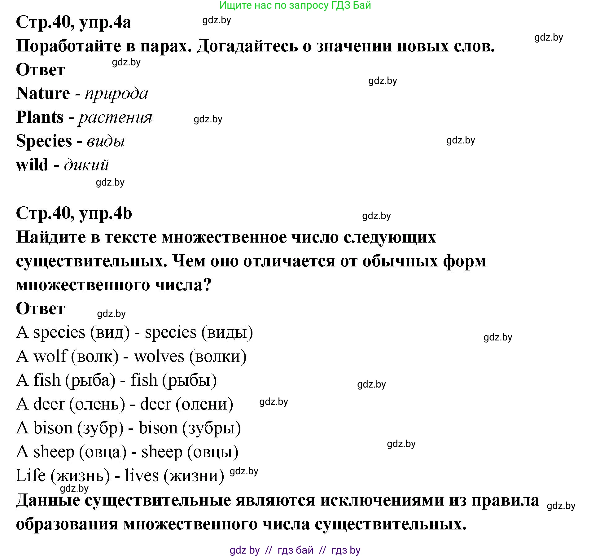 Английский язык (english), 6 класс Учебник, авторы: Юхнель Наталья Валентиновна, Наумова Елена Георгиевна, Малиновская Елена Александровна, издательство Адукацыя i выхаванне, Минск, 2021, страница 40, номер 4, Решение