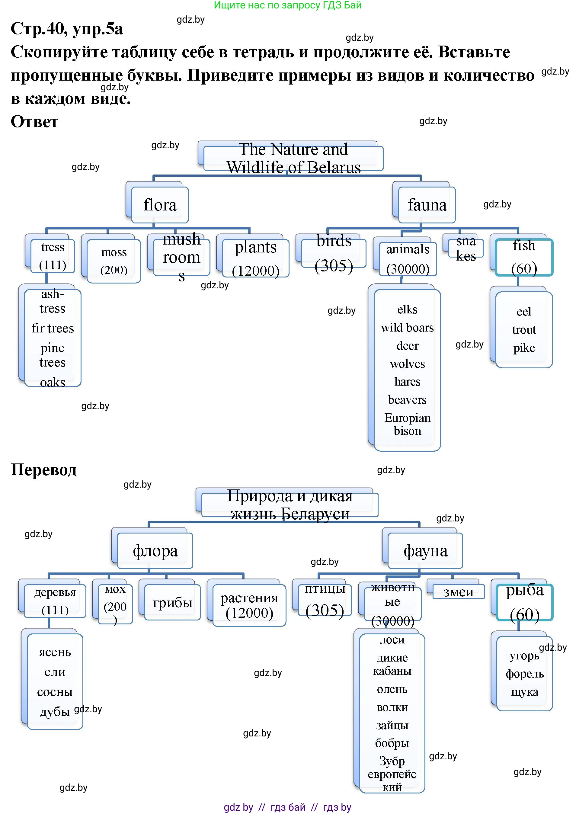 Английский язык (english), 6 класс Учебник, авторы: Юхнель Наталья Валентиновна, Наумова Елена Георгиевна, Малиновская Елена Александровна, издательство Адукацыя i выхаванне, Минск, 2021, страница 40, номер 5, Решение