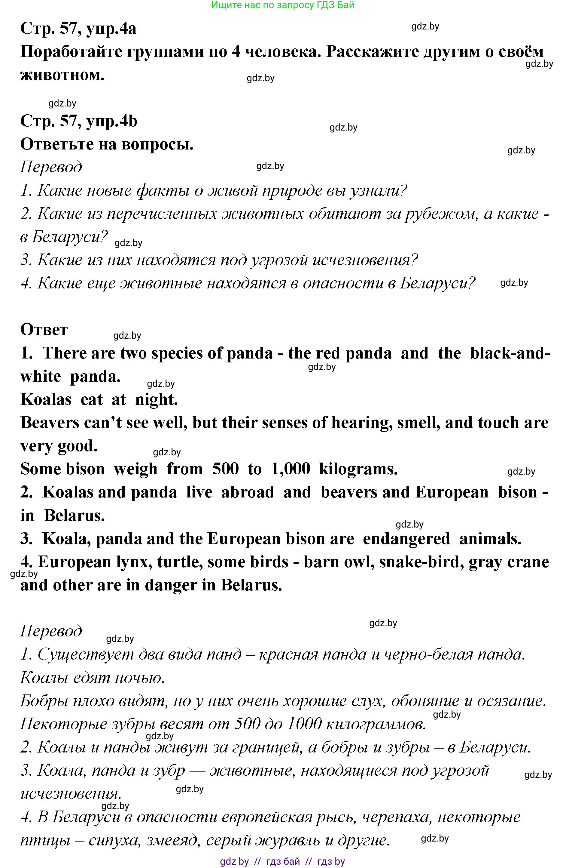 Английский язык (english), 6 класс Учебник, авторы: Юхнель Наталья Валентиновна, Наумова Елена Георгиевна, Малиновская Елена Александровна, издательство Адукацыя i выхаванне, Минск, 2021, страница 57, номер 4, Решение