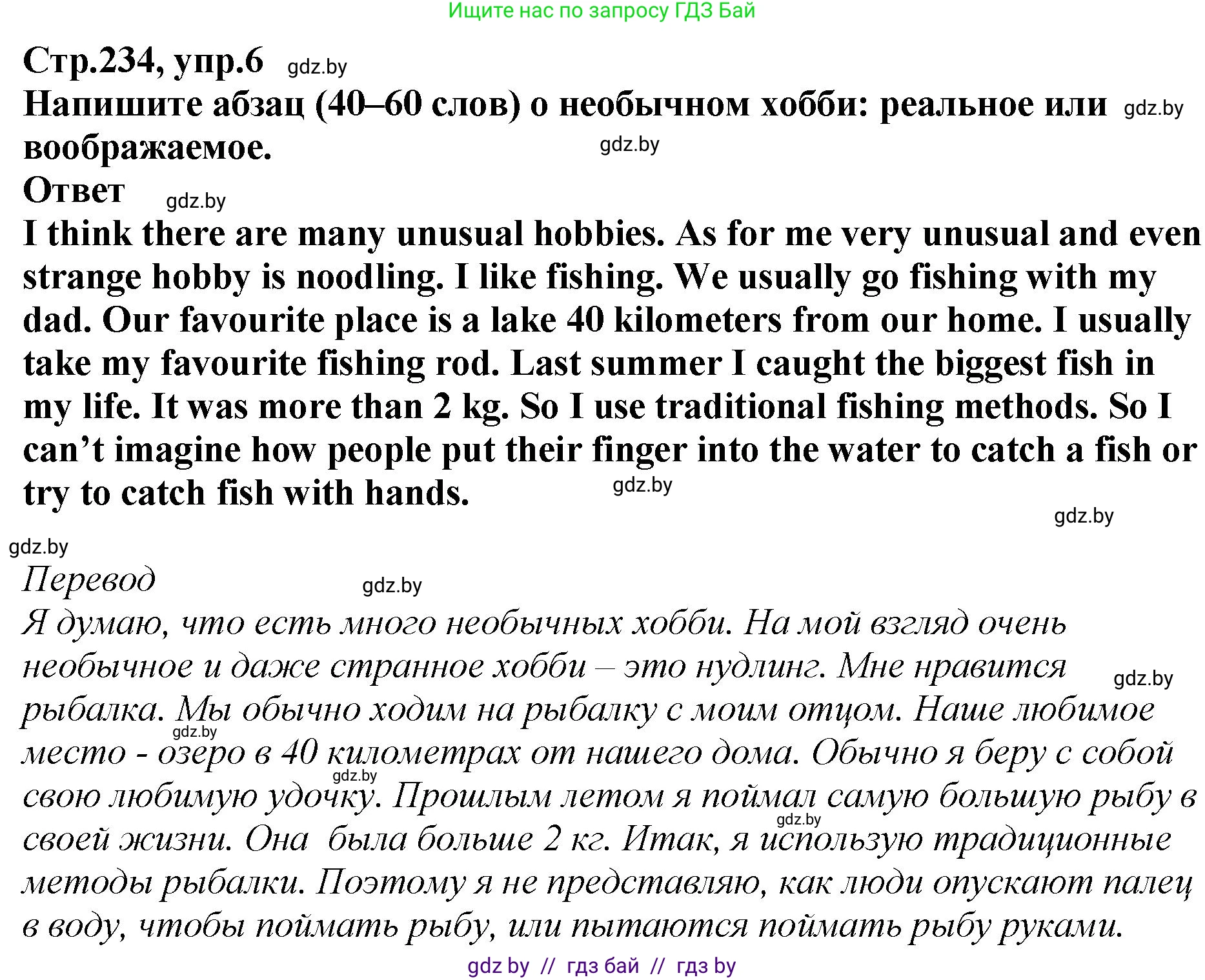 Английский язык (english), 6 класс Учебник, авторы: Юхнель Наталья Валентиновна, Наумова Елена Георгиевна, Малиновская Елена Александровна, издательство Адукацыя i выхаванне, Минск, 2021, страница 234, номер 6, Решение