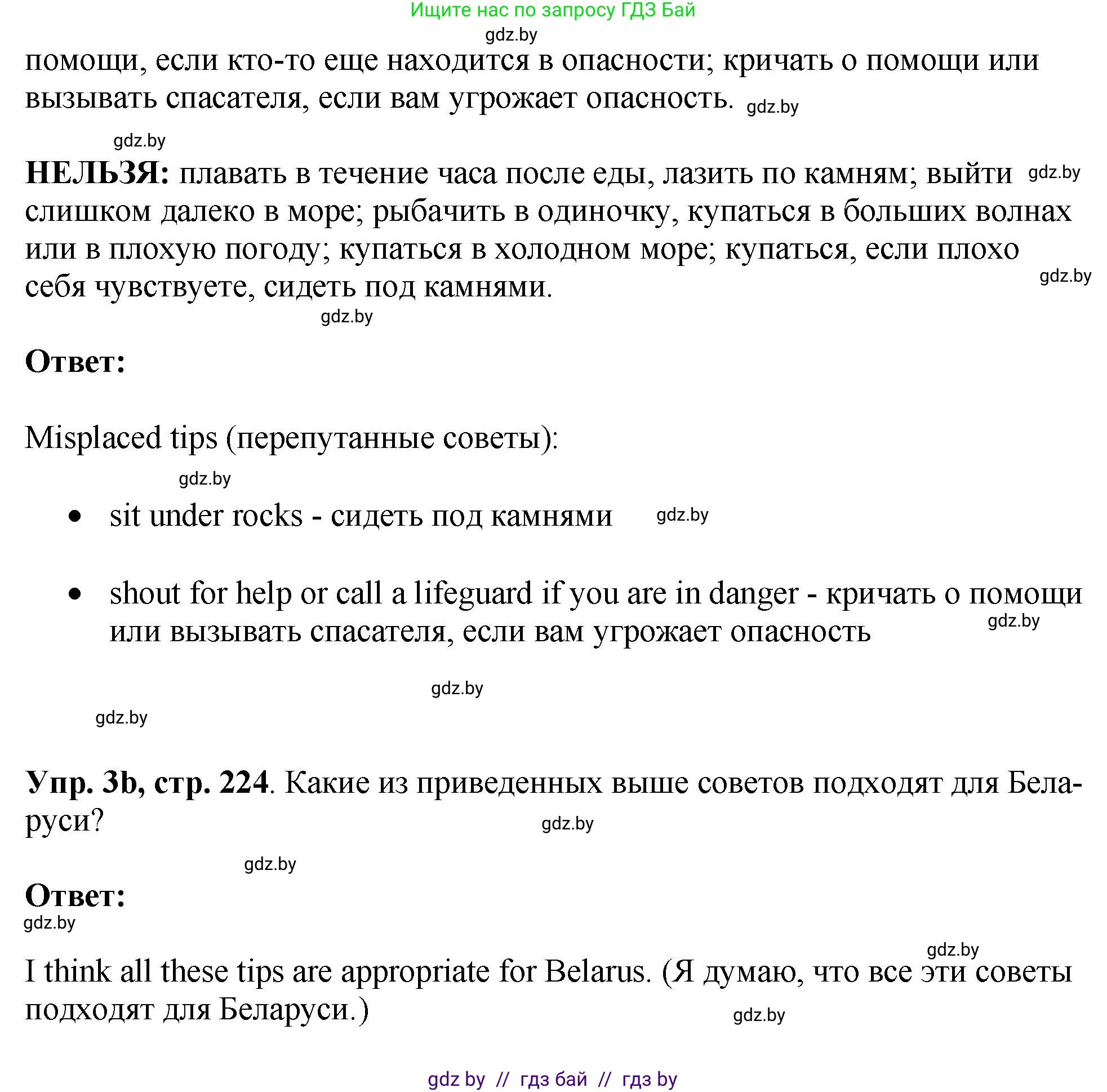 Английский язык (english), 7 класс Учебник (Student's book), авторы: Юхнель Наталья Валентиновна, Демченко Наталья Валентиновна, Наумова Елена Георгиевна, Романчук Вероника Романовна, издательство Вышэйшая школа, Минск, 2023, страница 223, номер 3, Решение (продолжение 2)