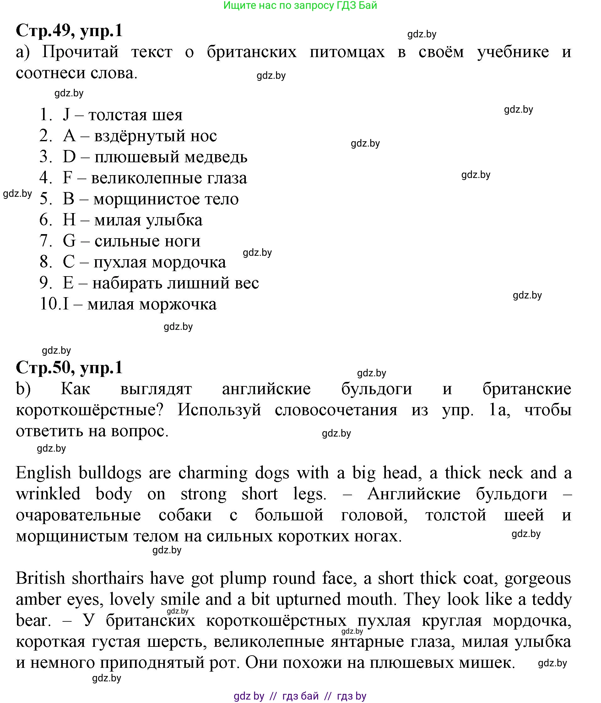 Английский язык (english), 7 класс Рабочая тетрадь (workbook), авторы: Демченко Наталья Валентиновна, Севрюкова Татьяна Юрьевна, Наумова Елена Георгиевна, Юхнель Наталья Валентиновна, Манешина А В, Маслёнченко Н А, Рыбалко О Н, издательство Аверсэв, Минск, 2021, голубого цвета, Часть ( Part) 1, страница 49, номер 1, Решение