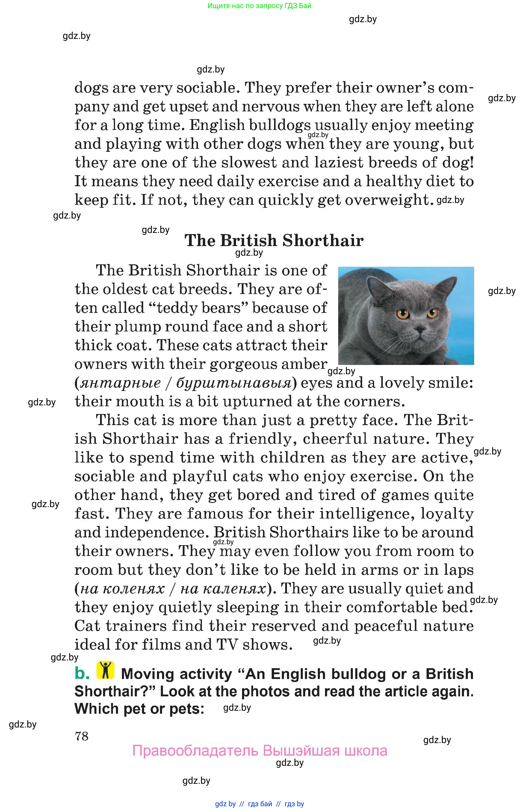 Английский язык (english), 7 класс Учебник (Student's book), авторы: Демченко Наталья Валентиновна, Севрюкова Татьяна Юрьевна, Юхнель Наталья Валентиновна, Наумова Елена Георгиевна, Манешина А В, Маслёнченко Н А, издательство Вышэйшая школа, Минск, 2019, оранжевого цвета, Часть ( Part) 2, страница 78