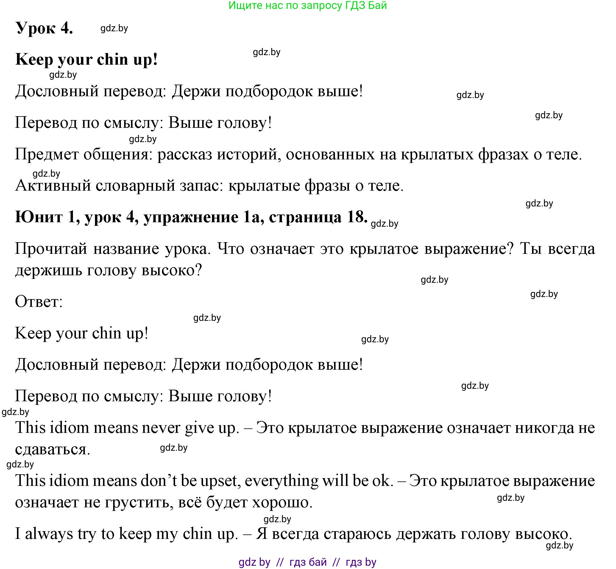 Английский язык (english), 7 класс Учебник (Student's book), авторы: Демченко Наталья Валентиновна, Севрюкова Татьяна Юрьевна, Юхнель Наталья Валентиновна, Наумова Елена Георгиевна, Манешина А В, Маслёнченко Н А, издательство Вышэйшая школа, Минск, 2019, оранжевого цвета, Часть ( Part) 1, страница 18, номер 1, Решение