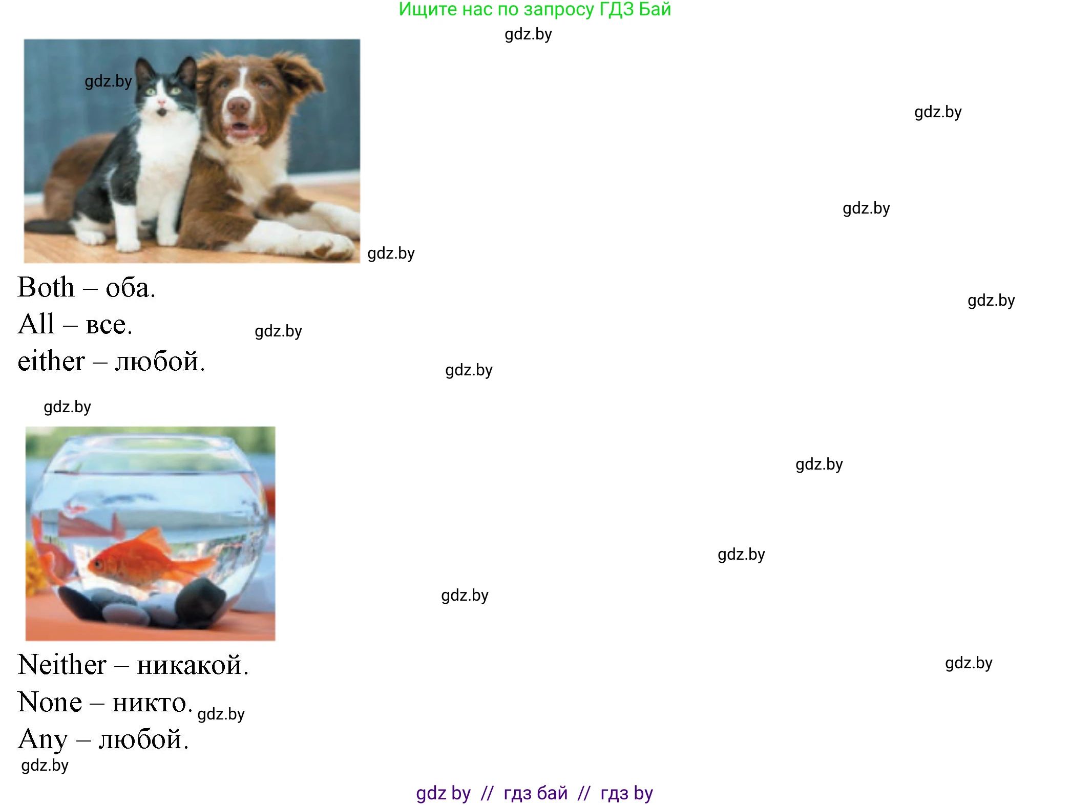 Английский язык (english), 7 класс Учебник (Student's book), авторы: Демченко Наталья Валентиновна, Севрюкова Татьяна Юрьевна, Юхнель Наталья Валентиновна, Наумова Елена Георгиевна, Манешина А В, Маслёнченко Н А, издательство Вышэйшая школа, Минск, 2019, оранжевого цвета, Часть ( Part) 1, страница 144, номер 2, Решение (продолжение 2)