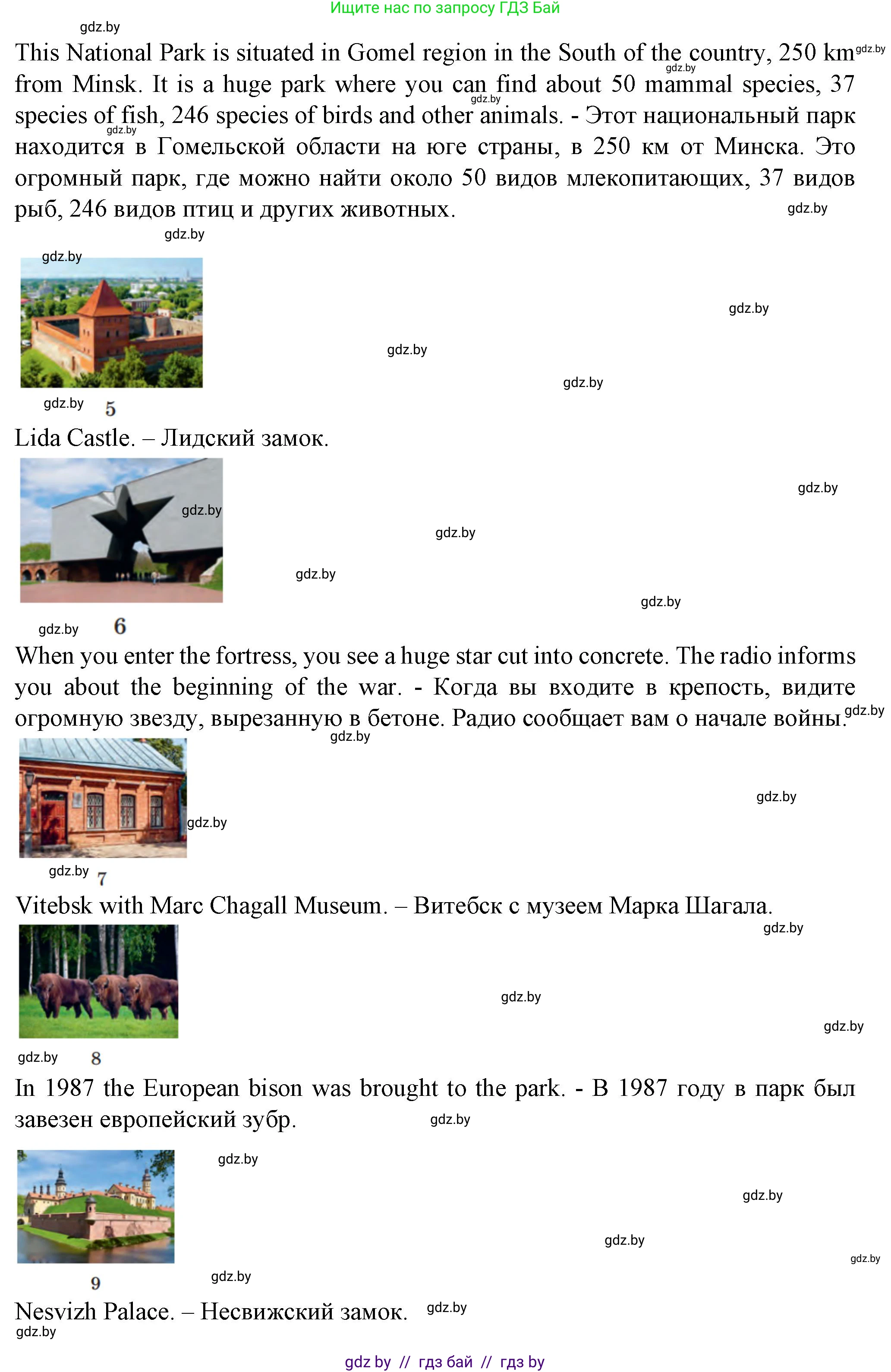 Английский язык (english), 7 класс Учебник (Student's book), авторы: Демченко Наталья Валентиновна, Севрюкова Татьяна Юрьевна, Юхнель Наталья Валентиновна, Наумова Елена Георгиевна, Манешина А В, Маслёнченко Н А, издательство Вышэйшая школа, Минск, 2019, оранжевого цвета, Часть ( Part) 2, страница 157, номер 2, Решение (продолжение 5)