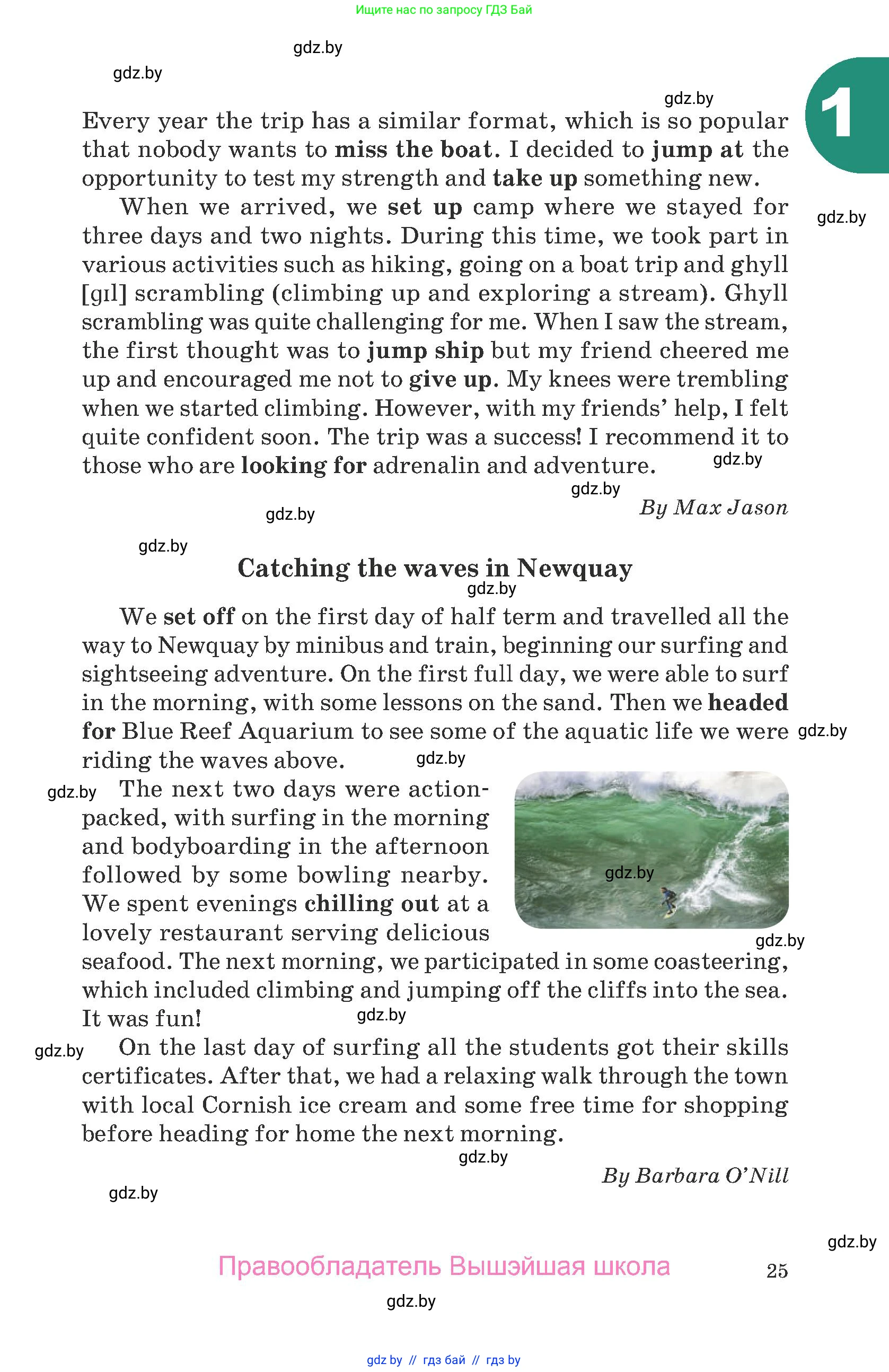 Английский язык (english), 8 класс Учебник, авторы: Демченко Наталья Валентиновна, Севрюкова Татьяна Юрьевна, Наумова Елена Георгиевна, Рыбалко О Н, Манешина А В, Маслёнченко Н А, Бушуева Эдите Владиславовна, издательство Вышэйшая школа, Минск, 2020, розового цвета, Часть ( Part) 2, страница 25