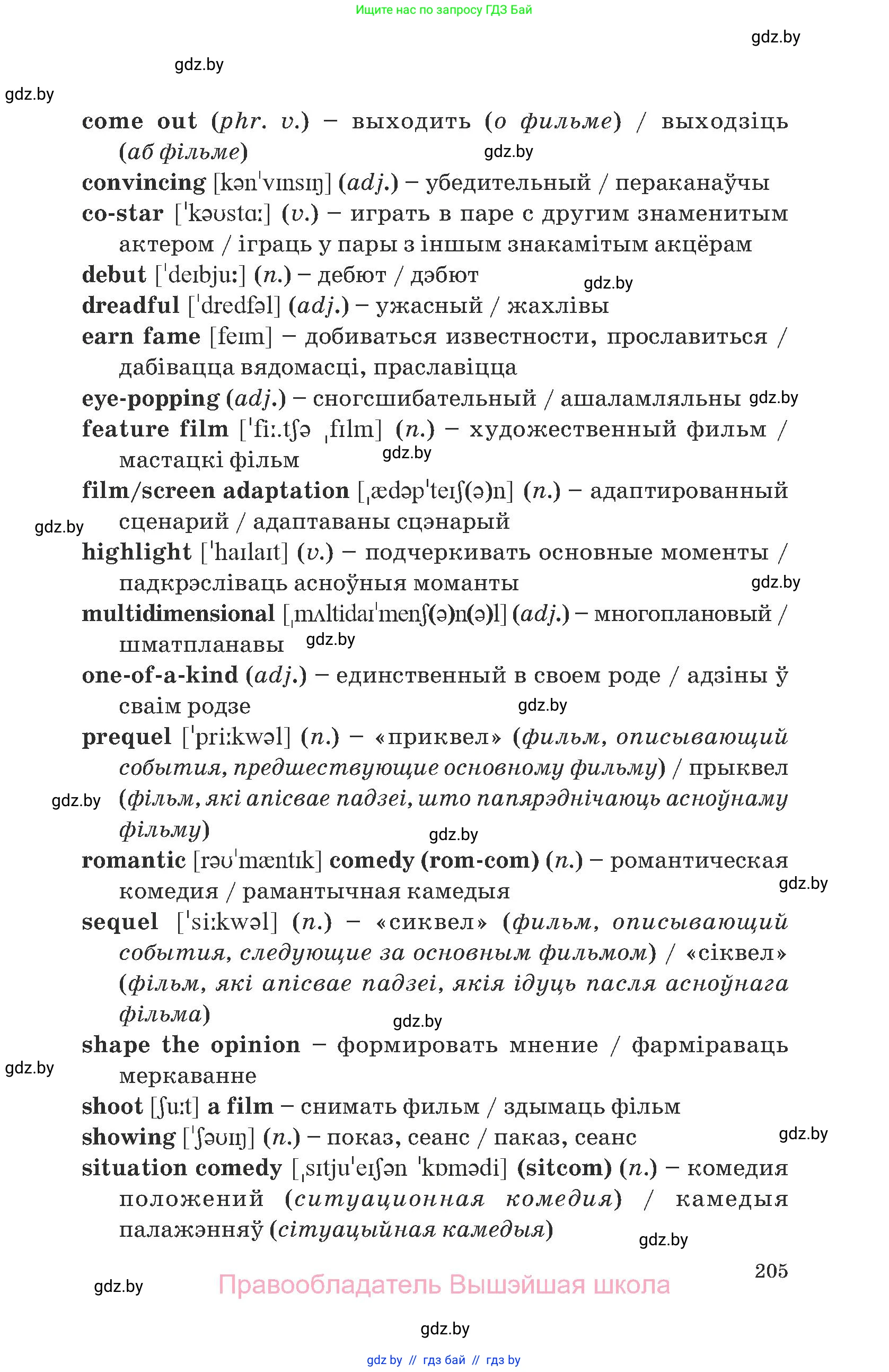 Английский язык (english), 8 класс Учебник, авторы: Демченко Наталья Валентиновна, Севрюкова Татьяна Юрьевна, Наумова Елена Георгиевна, Рыбалко О Н, Манешина А В, Маслёнченко Н А, Бушуева Эдите Владиславовна, издательство Вышэйшая школа, Минск, 2020, розового цвета, страница 205