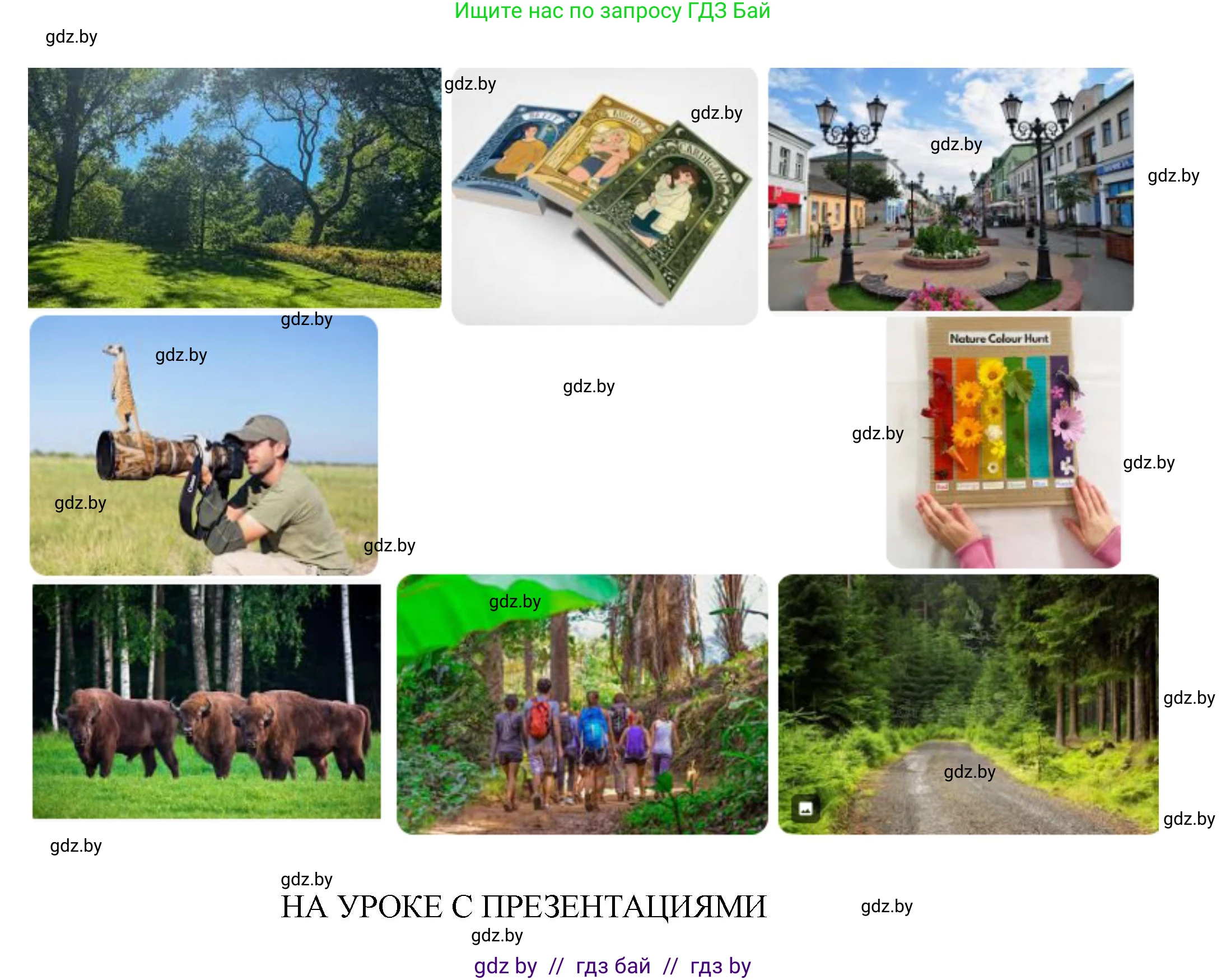 Английский язык (english), 8 класс Учебник, авторы: Демченко Наталья Валентиновна, Севрюкова Татьяна Юрьевна, Наумова Елена Георгиевна, Рыбалко О Н, Манешина А В, Маслёнченко Н А, Бушуева Эдите Владиславовна, издательство Вышэйшая школа, Минск, 2020, розового цвета, Часть ( Part) 2, страница 67, Решение (продолжение 6)