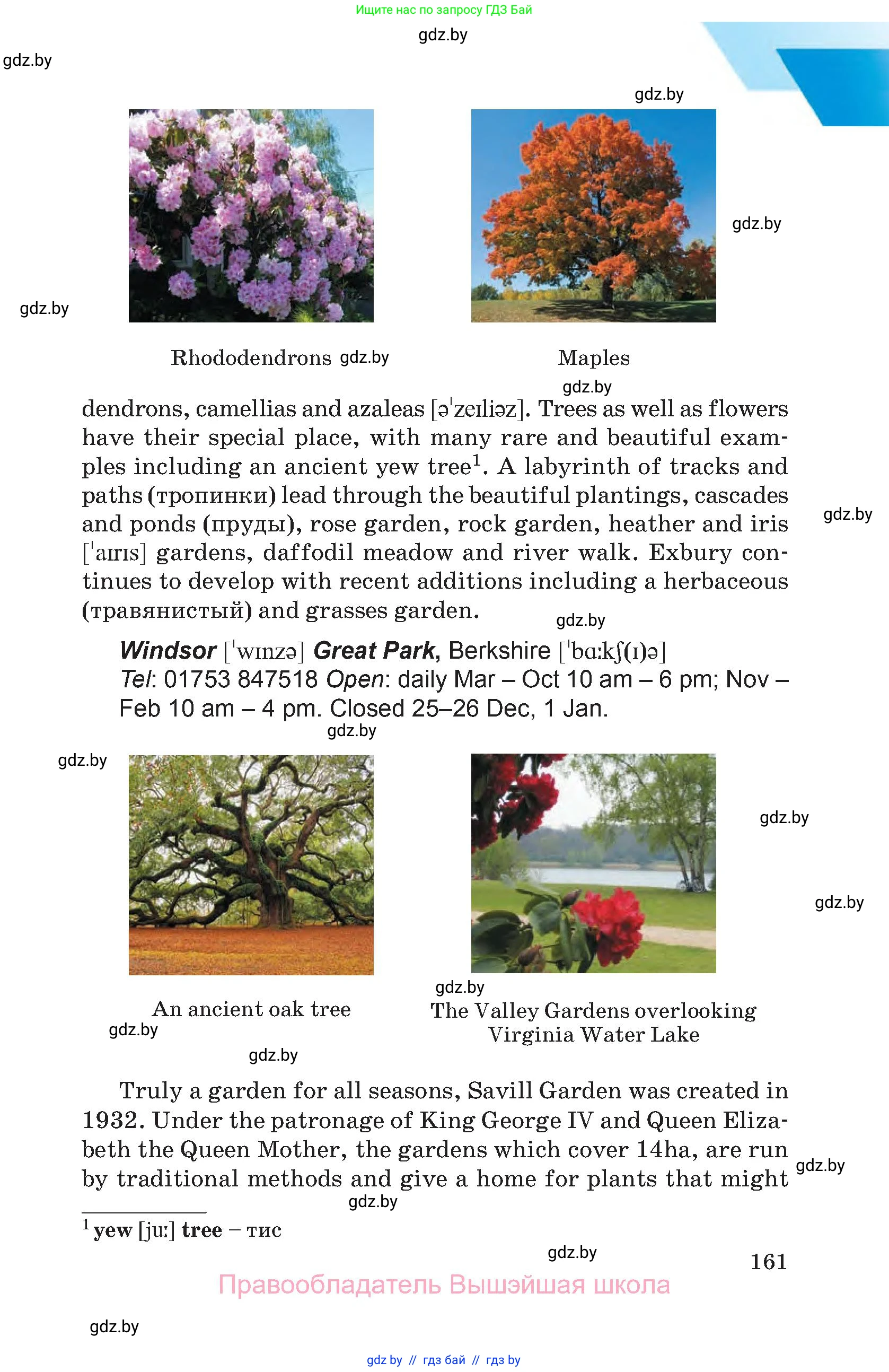 Английский язык (english), 8 класс Учебник, авторы: Лапицкая Людмила Михайловна (Lapitskaya Ludmila), Демченко Наталья Валентиновна, Калишевич Алла Ивановна, Юхнель Наталья Валентиновна, Волков Андрей Валерьевич, Севрюкова Татьяна Юрьевна, издательство Вышэйшая школа, Минск, 2021, бирюзового цвета, страница 161