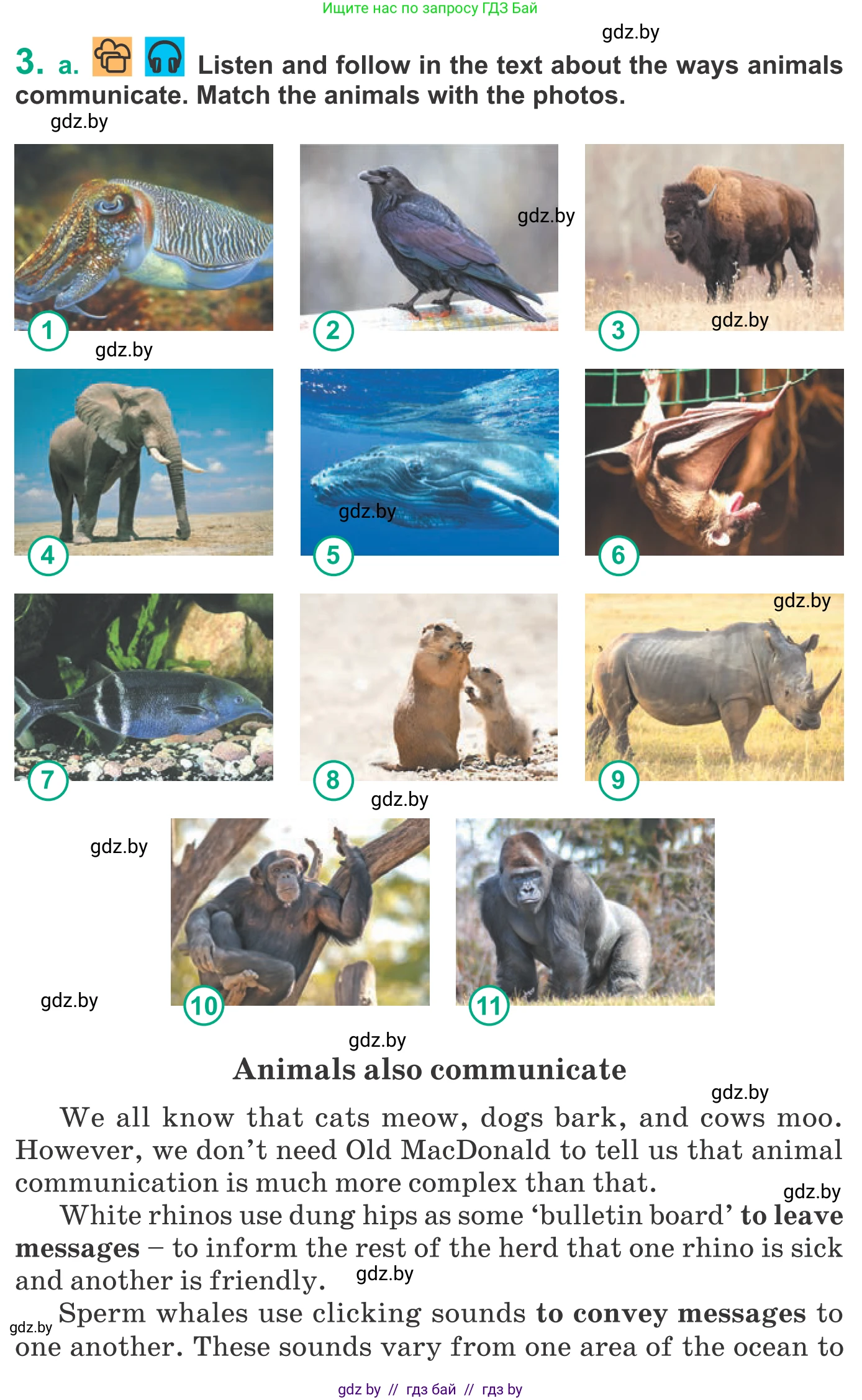 Английский язык (english), 9 класс Учебник (Student's book), авторы: Демченко Наталья Валентиновна, Юхнель Наталья Валентиновна, Романчук Вероника Романовна, Малиновская Елена Александровна, Севрюкова Татьяна Юрьевна, издательство Вышэйшая школа, Минск, 2022, белого цвета, Часть ( Part) 2, страница 126, номер 3, Условие