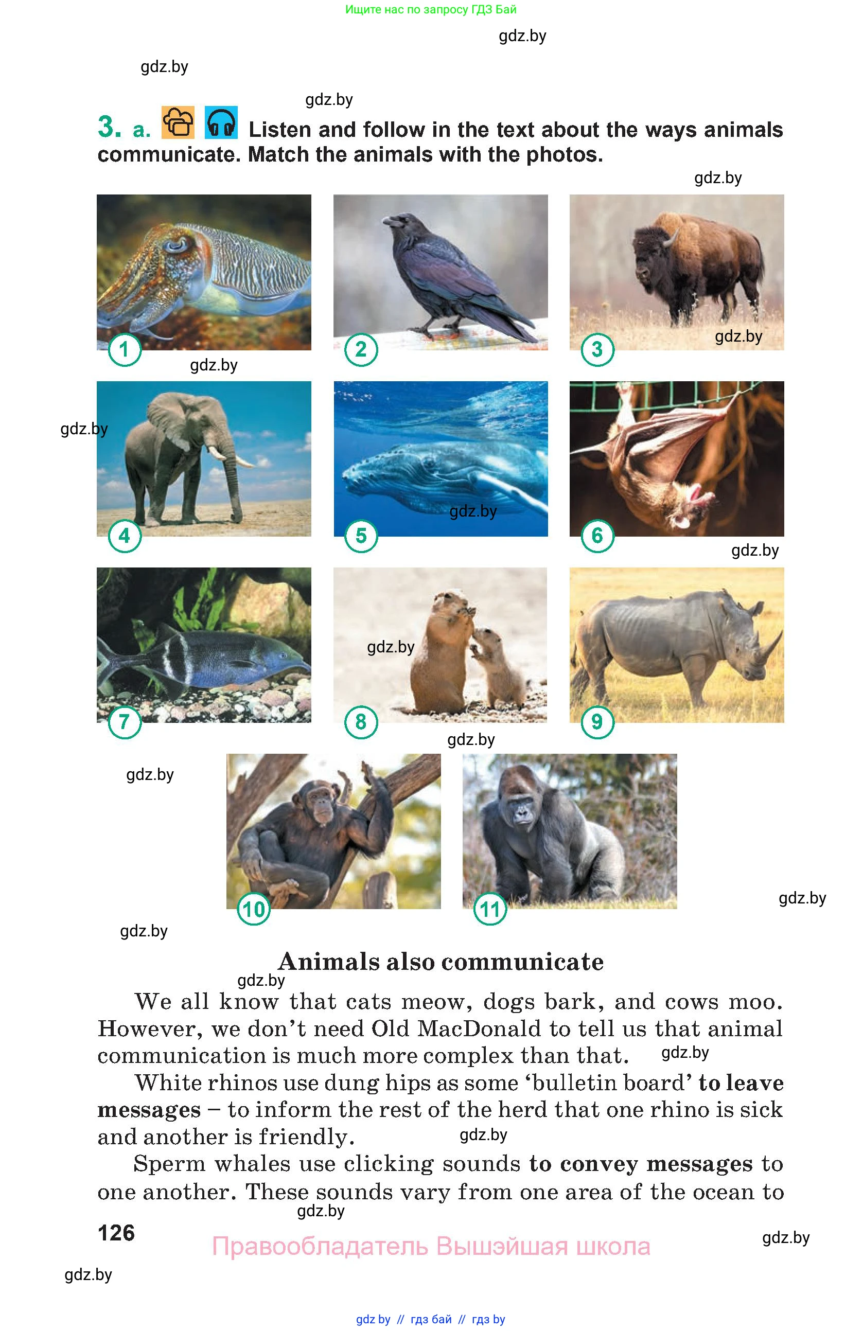 Английский язык (english), 9 класс Учебник (Student's book), авторы: Демченко Наталья Валентиновна, Юхнель Наталья Валентиновна, Романчук Вероника Романовна, Малиновская Елена Александровна, Севрюкова Татьяна Юрьевна, издательство Вышэйшая школа, Минск, 2022, белого цвета, Часть ( Part) 1, страница 126