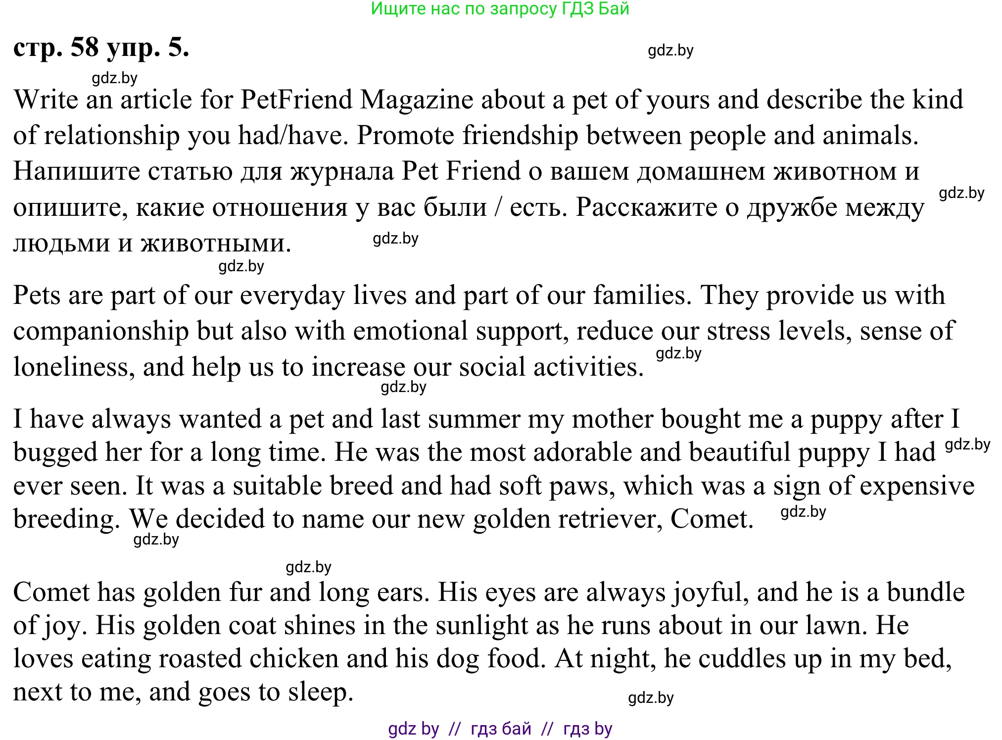 Английский язык (english), 9 класс Учебник (Student's book), авторы: Демченко Наталья Валентиновна, Юхнель Наталья Валентиновна, Романчук Вероника Романовна, Малиновская Елена Александровна, Севрюкова Татьяна Юрьевна, издательство Вышэйшая школа, Минск, 2022, белого цвета, Часть ( Part) 1, страница 58, номер 5, Решение