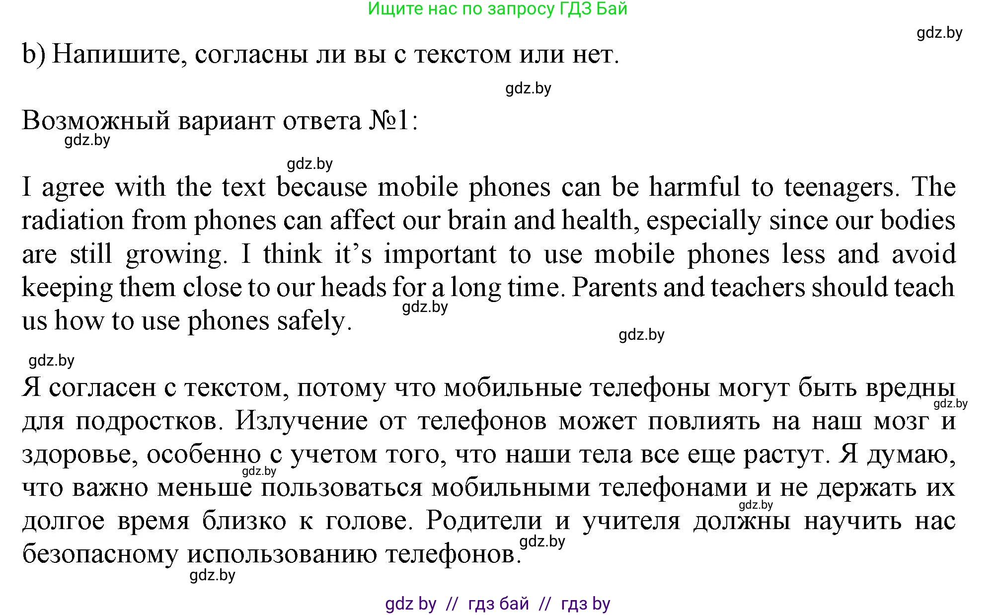Английский язык (english), 9 класс Рабочая тетрадь (workbook), авторы: Лапицкая Людмила Михайловна (Lapitskaya Ludmila), Демченко Наталья Валентиновна, Волков Андрей Валерьевич, Калишевич Алла Ивановна, Севрюкова Татьяна Юрьевна, Юхнель Наталья Валентиновна, издательство Аверсэв, Минск, 2019, голубого цвета, Часть ( Part) 2, страница 93, номер 2b, Решение 2