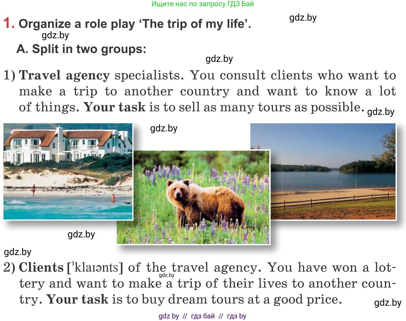 Английский язык (english), 9 класс Учебник (Student's book), авторы: Лапицкая Людмила Михайловна (Lapitskaya Ludmila), Демченко Наталья Валентиновна, Волков Андрей Валерьевич, Калишевич Алла Ивановна, Севрюкова Татьяна Юрьевна, Юхнель Наталья Валентиновна, издательство Вышэйшая школа, Минск, 2018, страница 213, номер 1, Условие