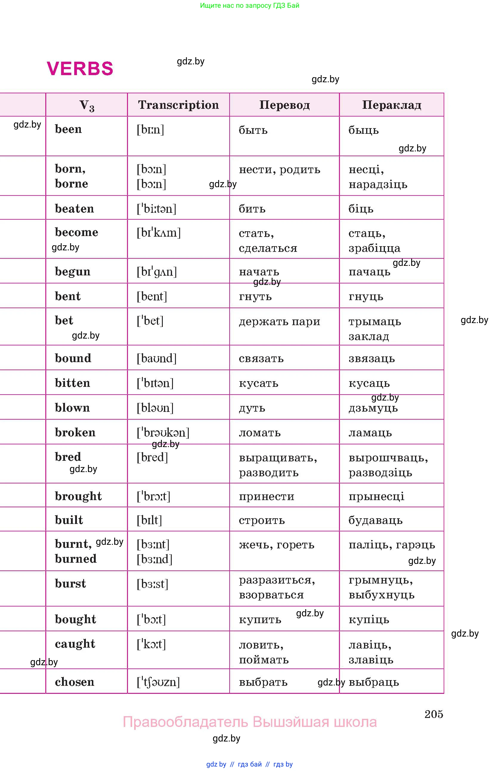 Английский язык (english), 10 класс Учебник (Student's book), авторы: Демченко Наталья Валентиновна, Юхнель Наталья Валентиновна, Севрюкова Татьяна Юрьевна, Бушуева Эдите Владиславовна, Лапицкая Людмила Михайловна (Lapitskaya Ludmila), издательство Вышэйшая школа, Минск, 2021, голубого цвета, Часть ( Part) 2, страница 205