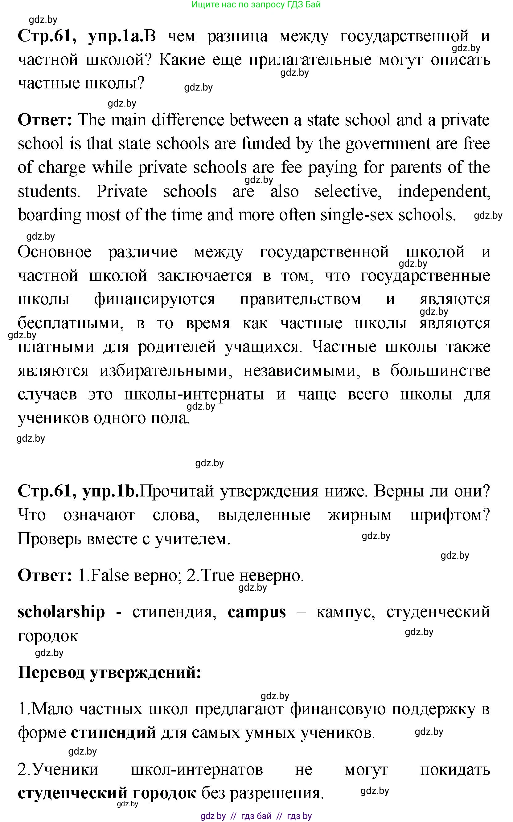 Английский язык (english), 10 класс Учебник (Student's book), авторы: Демченко Наталья Валентиновна, Юхнель Наталья Валентиновна, Севрюкова Татьяна Юрьевна, Бушуева Эдите Владиславовна, Лапицкая Людмила Михайловна (Lapitskaya Ludmila), издательство Вышэйшая школа, Минск, 2021, голубого цвета, Часть ( Part) 1, страница 61, номер 1, Решение