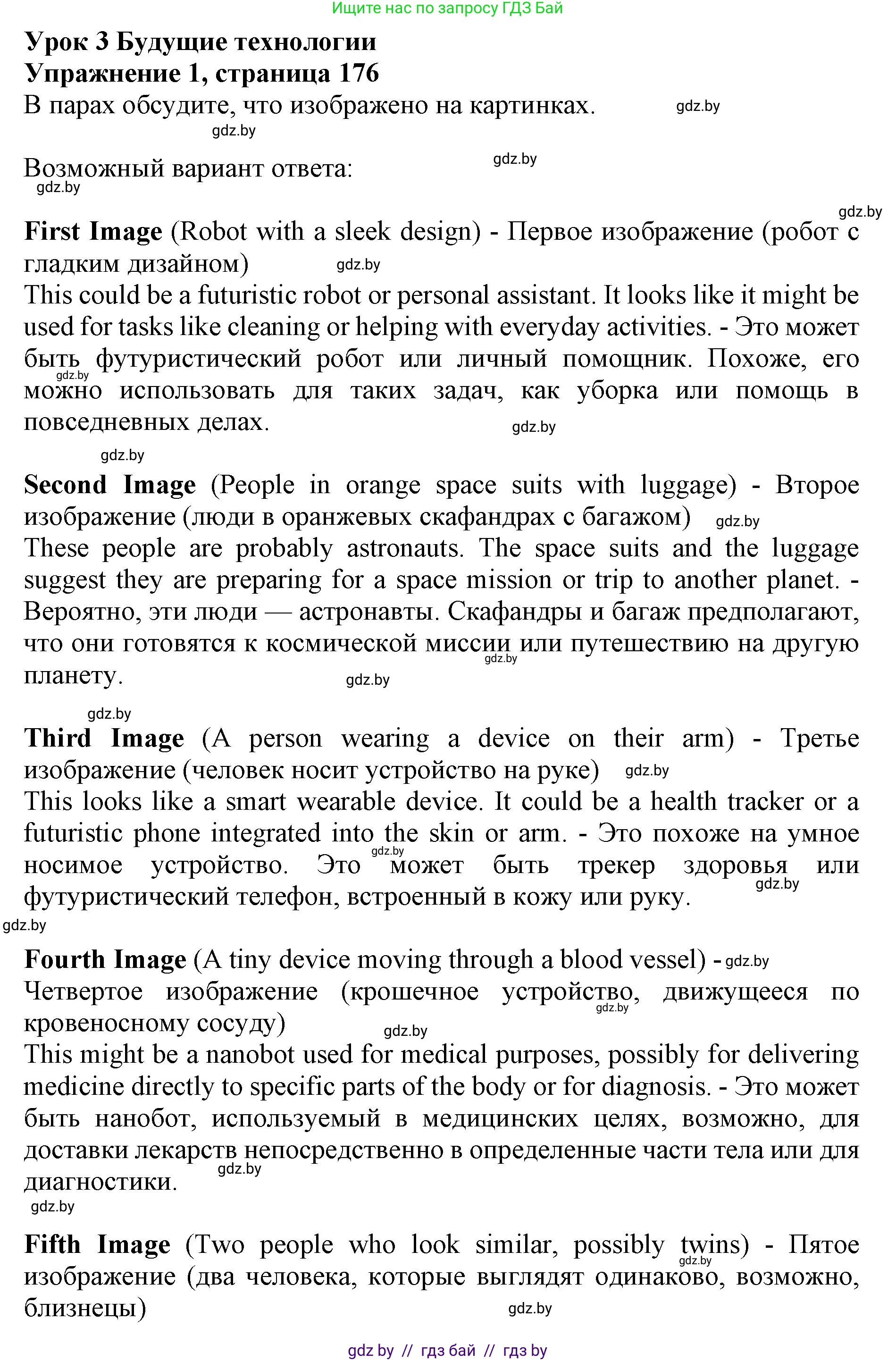 Английский язык (english), 10 класс Учебник (Student's book), авторы: Юхнель Наталья Валентиновна, Наумова Елена Георгиевна, Демченко Наталья Валентиновна, издательство Вышэйшая школа, Минск, 2019, страница 176, номер 1, Решение 2