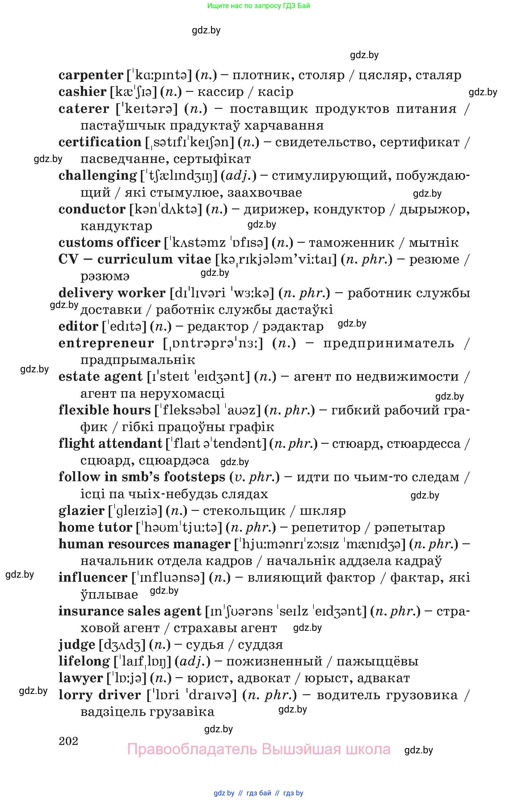 Английский язык (english), 11 класс Учебник (Student's book), авторы: Демченко Наталья Валентиновна, Бушуева Эдите Владиславовна, Севрюкова Татьяна Юрьевна, Лапицкая Людмила Михайловна (Lapitskaya Ludmila), Романчук Вероника Романовна, издательство Вышэйшая школа, Минск, 2022, розового цвета, страница 202