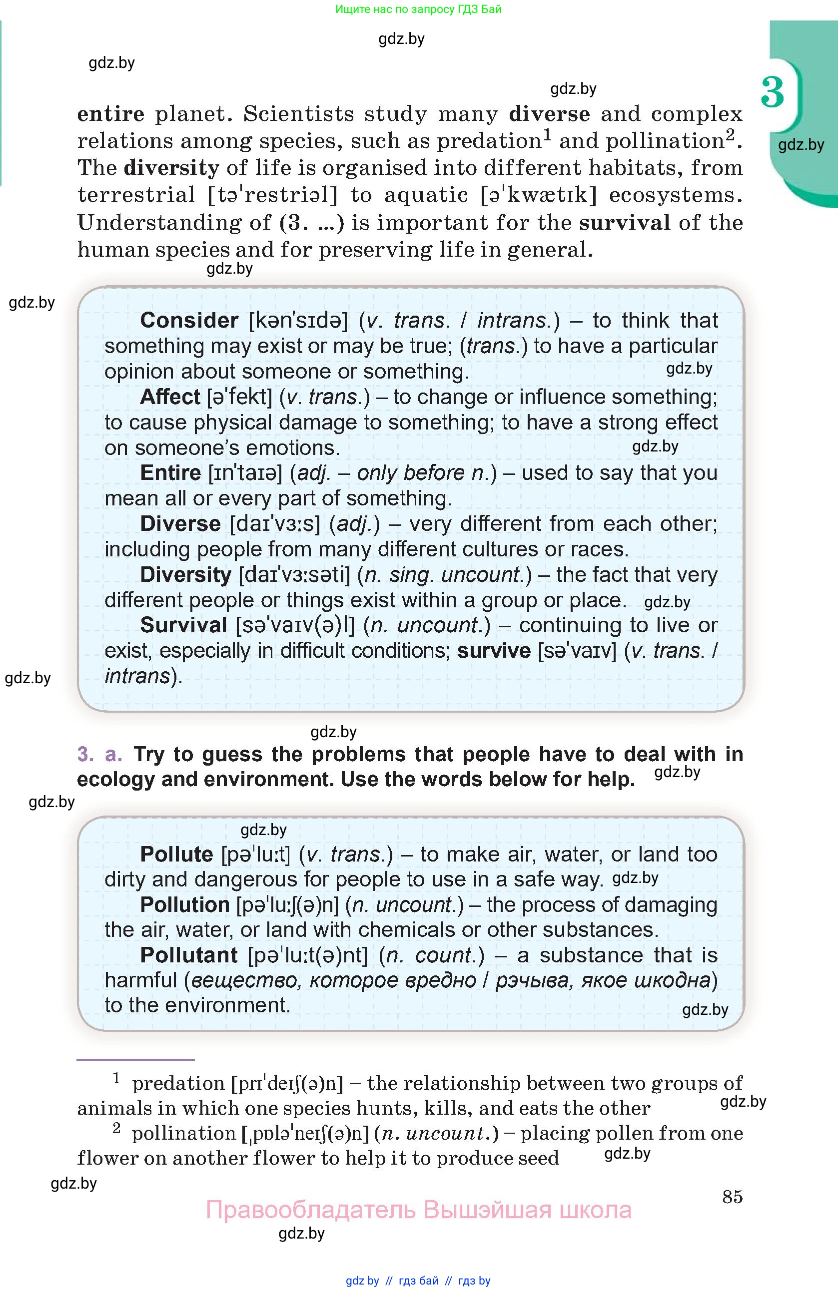 Английский язык (english), 11 класс Учебник (Student's book), авторы: Демченко Наталья Валентиновна, Бушуева Эдите Владиславовна, Севрюкова Татьяна Юрьевна, Лапицкая Людмила Михайловна (Lapitskaya Ludmila), Романчук Вероника Романовна, издательство Вышэйшая школа, Минск, 2022, розового цвета, Часть ( Part) 1, страница 85
