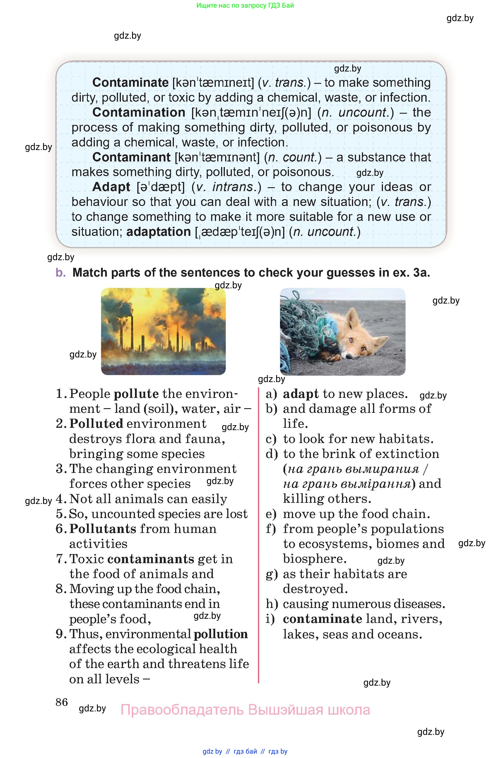 Английский язык (english), 11 класс Учебник (Student's book), авторы: Демченко Наталья Валентиновна, Бушуева Эдите Владиславовна, Севрюкова Татьяна Юрьевна, Лапицкая Людмила Михайловна (Lapitskaya Ludmila), Романчук Вероника Романовна, издательство Вышэйшая школа, Минск, 2022, розового цвета, Часть ( Part) 2, страница 86