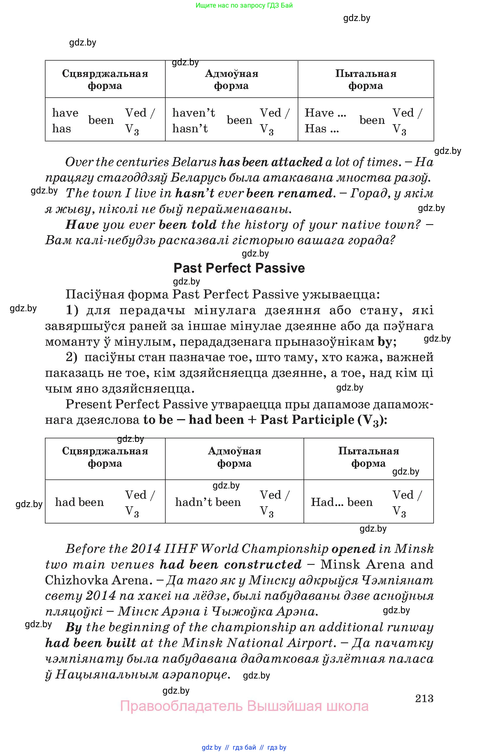 Английский язык (english), 11 класс Учебник (Student's book), авторы: Демченко Наталья Валентиновна, Бушуева Эдите Владиславовна, Севрюкова Татьяна Юрьевна, Лапицкая Людмила Михайловна (Lapitskaya Ludmila), Романчук Вероника Романовна, издательство Вышэйшая школа, Минск, 2022, розового цвета, страница 213