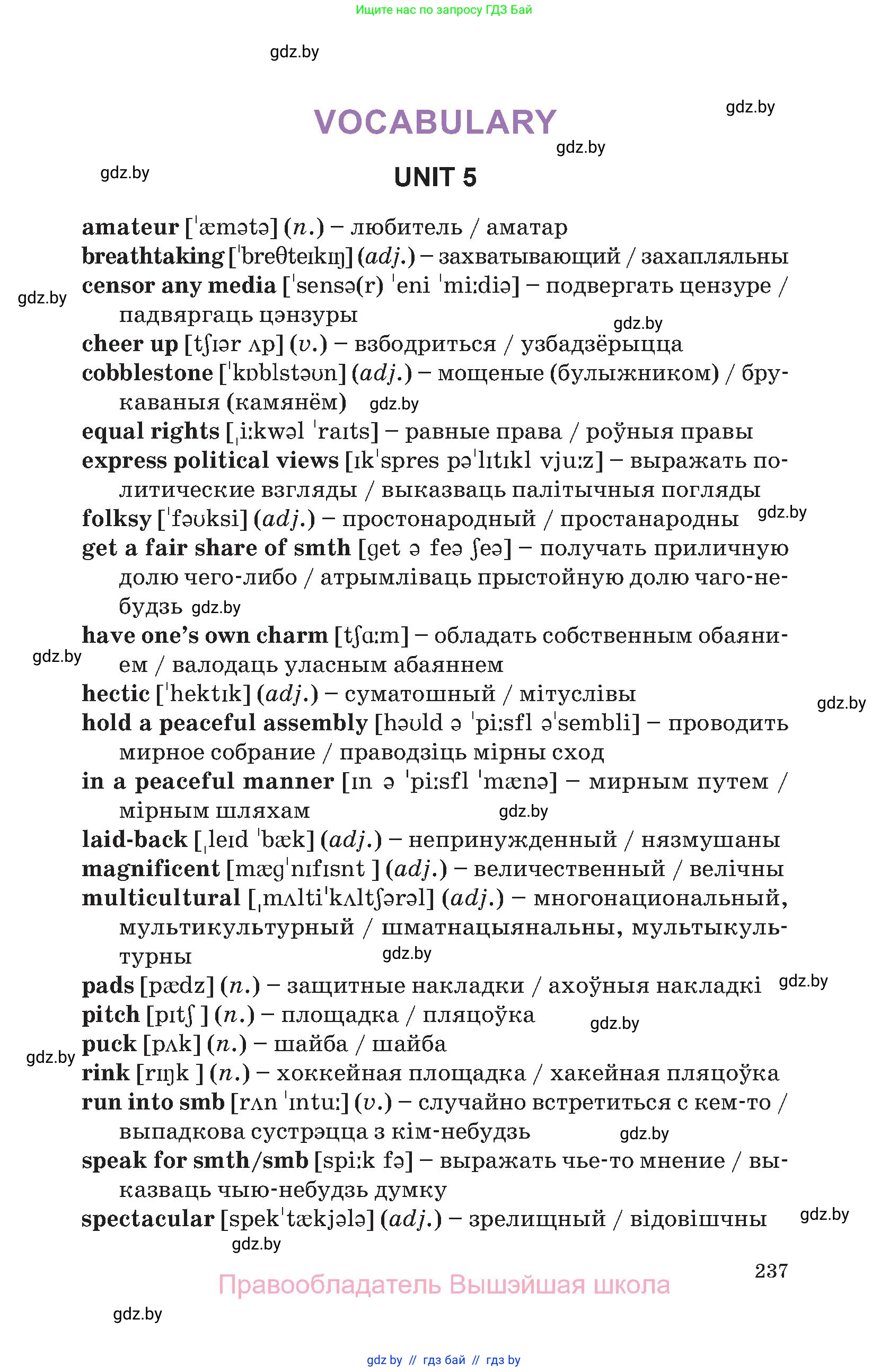 Английский язык (english), 11 класс Учебник (Student's book), авторы: Демченко Наталья Валентиновна, Бушуева Эдите Владиславовна, Севрюкова Татьяна Юрьевна, Лапицкая Людмила Михайловна (Lapitskaya Ludmila), Романчук Вероника Романовна, издательство Вышэйшая школа, Минск, 2022, розового цвета, страница 237