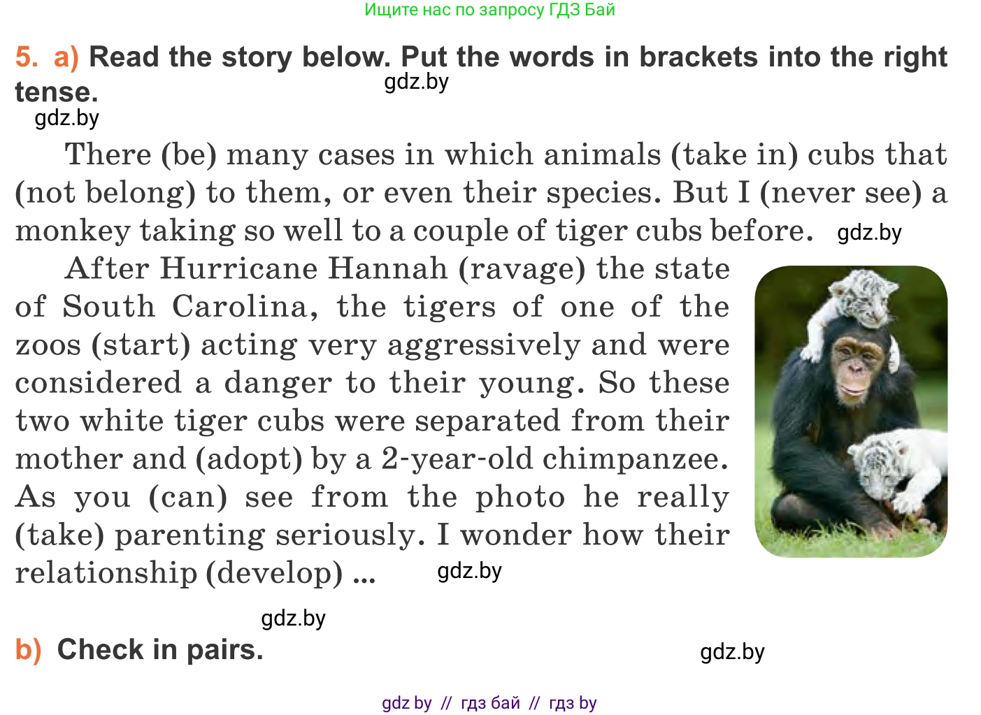 Английский язык (english), 11 класс Учебник (Student's book), авторы: Юхнель Наталья Валентиновна, Демченко Наталья Валентиновна, Романчук Вероника Романовна, Малиновская Елена Александровна, Севрюкова Татьяна Юрьевна, Бушуева Эдите Владиславовна, Наумова Елена Георгиевна, Яковчиц Т Н, издательство Вышэйшая школа, Минск, 2021, бирюзового цвета, страница 10, номер 5, Условие