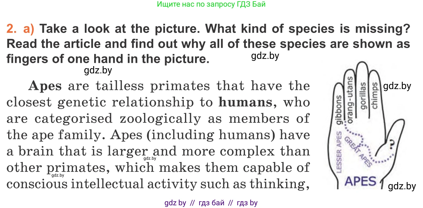 Английский язык (english), 11 класс Учебник (Student's book), авторы: Юхнель Наталья Валентиновна, Демченко Наталья Валентиновна, Романчук Вероника Романовна, Малиновская Елена Александровна, Севрюкова Татьяна Юрьевна, Бушуева Эдите Владиславовна, Наумова Елена Георгиевна, Яковчиц Т Н, издательство Вышэйшая школа, Минск, 2021, бирюзового цвета, страница 66, номер 2, Условие