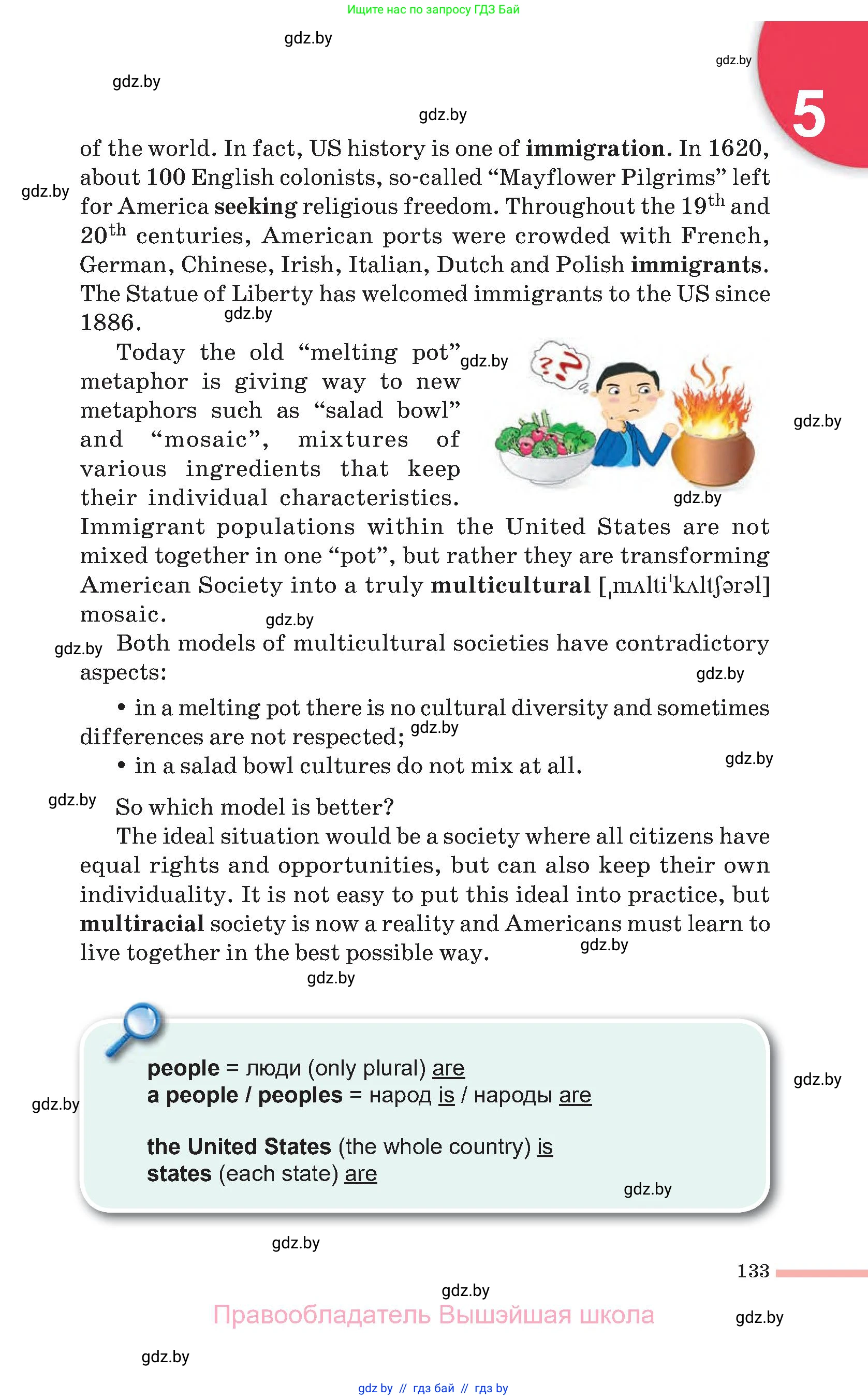 Английский язык (english), 11 класс Учебник (Student's book), авторы: Юхнель Наталья Валентиновна, Демченко Наталья Валентиновна, Романчук Вероника Романовна, Малиновская Елена Александровна, Севрюкова Татьяна Юрьевна, Бушуева Эдите Владиславовна, Наумова Елена Георгиевна, Яковчиц Т Н, издательство Вышэйшая школа, Минск, 2021, бирюзового цвета, страница 133