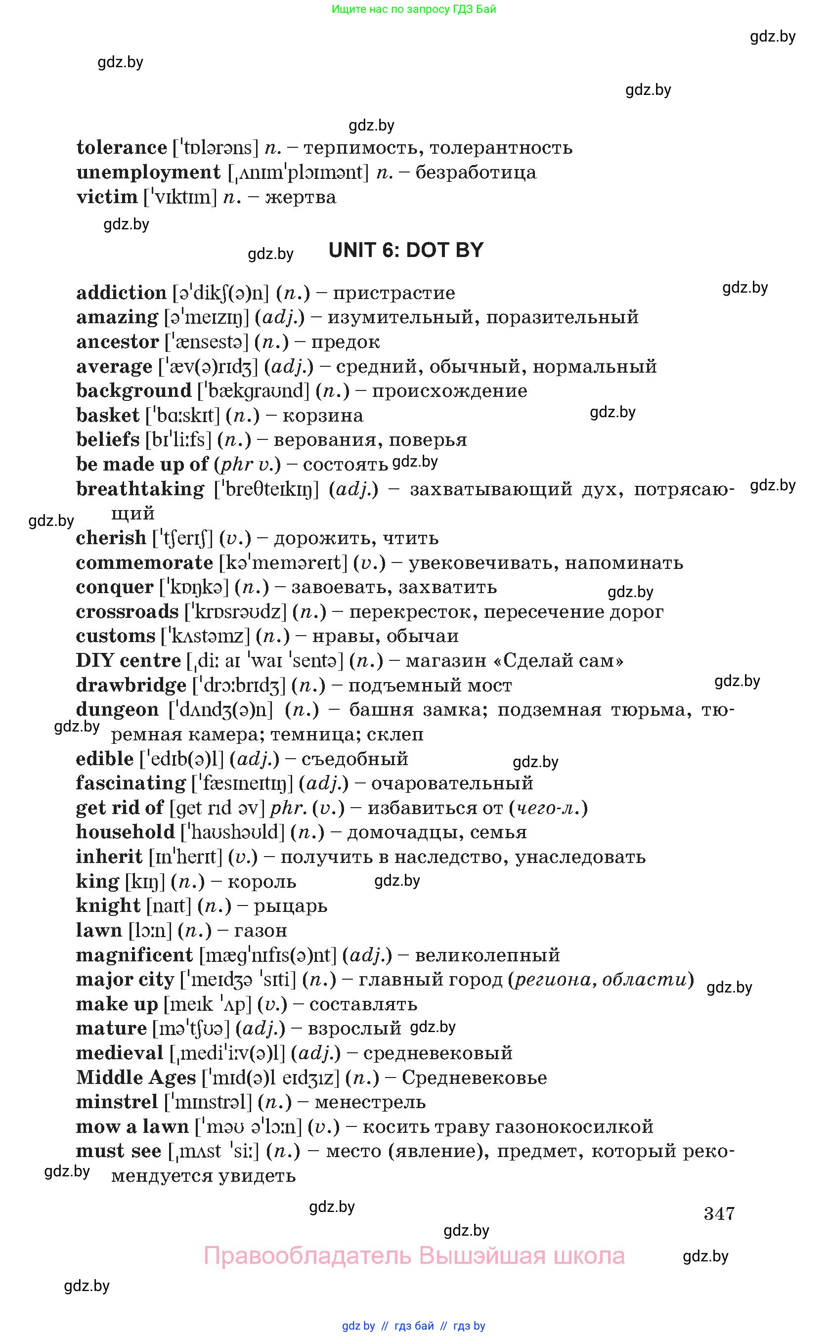 Английский язык (english), 11 класс Учебник (Student's book), авторы: Юхнель Наталья Валентиновна, Демченко Наталья Валентиновна, Романчук Вероника Романовна, Малиновская Елена Александровна, Севрюкова Татьяна Юрьевна, Бушуева Эдите Владиславовна, Наумова Елена Георгиевна, Яковчиц Т Н, издательство Вышэйшая школа, Минск, 2021, бирюзового цвета, страница 347