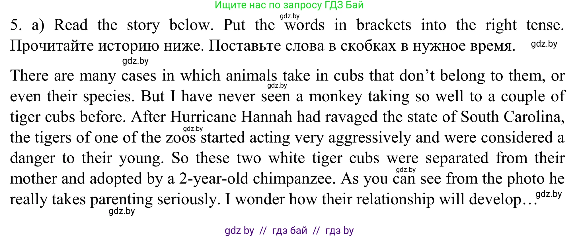 Английский язык (english), 11 класс Учебник (Student's book), авторы: Юхнель Наталья Валентиновна, Демченко Наталья Валентиновна, Романчук Вероника Романовна, Малиновская Елена Александровна, Севрюкова Татьяна Юрьевна, Бушуева Эдите Владиславовна, Наумова Елена Георгиевна, Яковчиц Т Н, издательство Вышэйшая школа, Минск, 2021, бирюзового цвета, страница 10, номер 5, Решение
