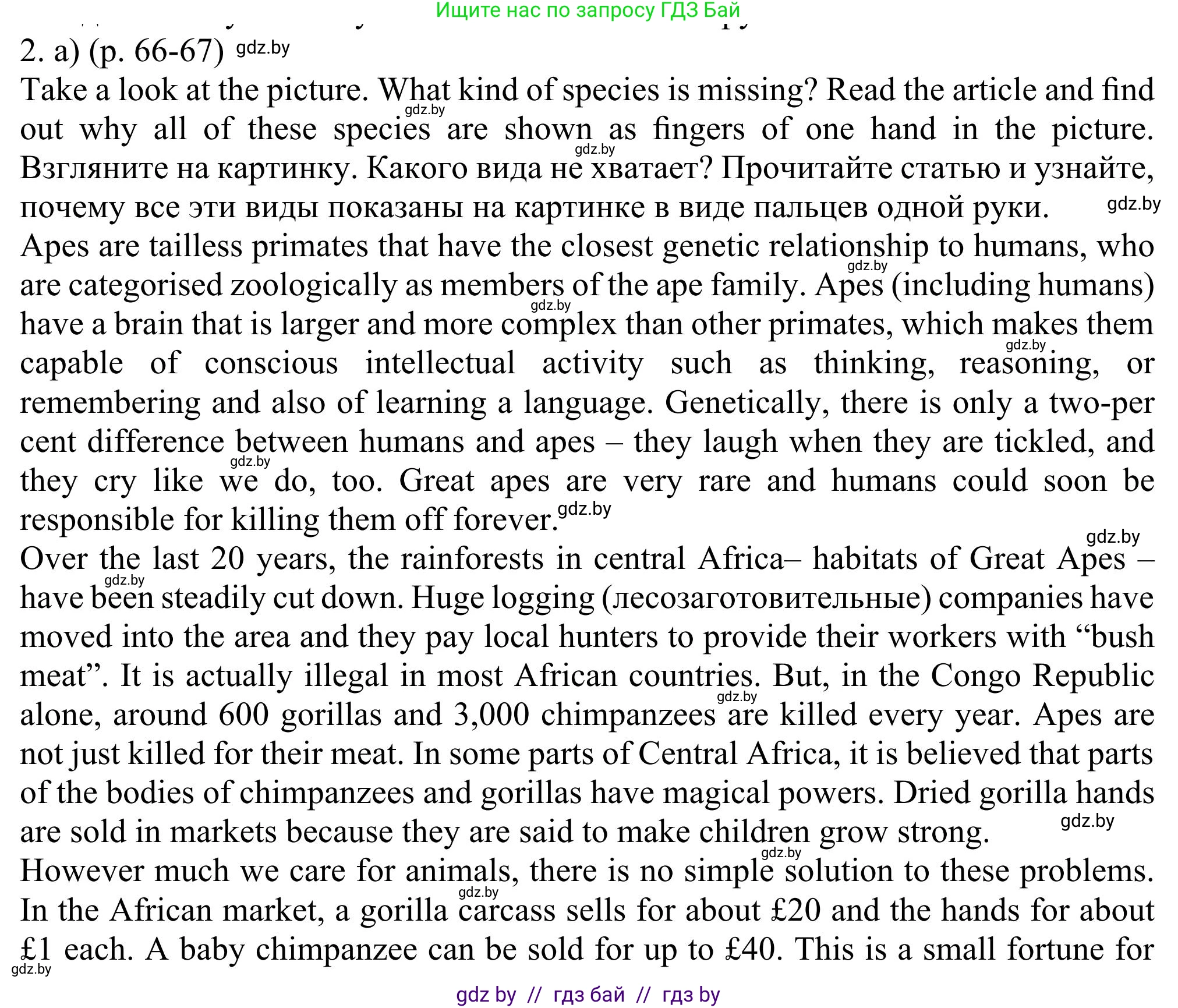 Английский язык (english), 11 класс Учебник (Student's book), авторы: Юхнель Наталья Валентиновна, Демченко Наталья Валентиновна, Романчук Вероника Романовна, Малиновская Елена Александровна, Севрюкова Татьяна Юрьевна, Бушуева Эдите Владиславовна, Наумова Елена Георгиевна, Яковчиц Т Н, издательство Вышэйшая школа, Минск, 2021, бирюзового цвета, страница 66, номер 2, Решение