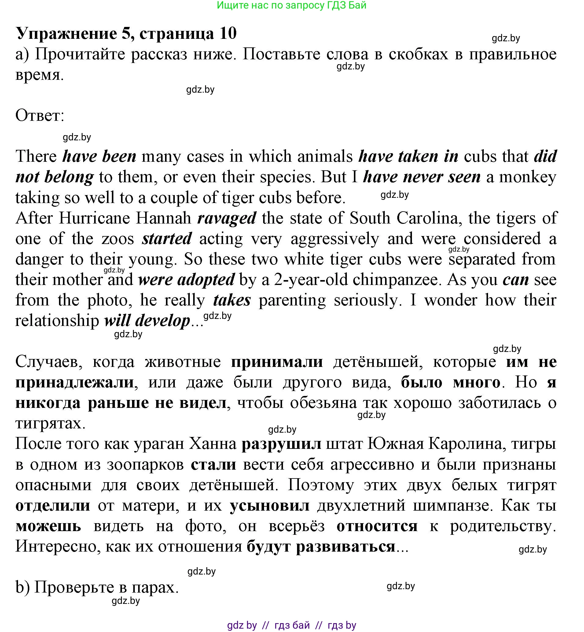 Английский язык (english), 11 класс Учебник (Student's book), авторы: Юхнель Наталья Валентиновна, Демченко Наталья Валентиновна, Романчук Вероника Романовна, Малиновская Елена Александровна, Севрюкова Татьяна Юрьевна, Бушуева Эдите Владиславовна, Наумова Елена Георгиевна, Яковчиц Т Н, издательство Вышэйшая школа, Минск, 2021, бирюзового цвета, страница 10, номер 5, Решение 2