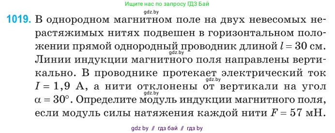 Физика, 10 класс Сборник задач, авторы: Дорофейчик Владимир Владимирович, Белая Ольга Николаевна, издательство Национальный институт образования, Минск, 2022, страница 227, номер 1019, Условие