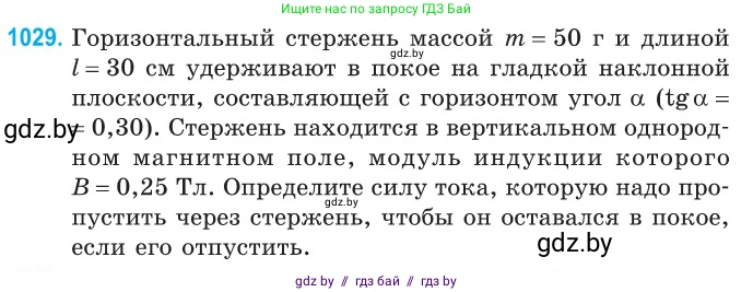 Физика, 10 класс Сборник задач, авторы: Дорофейчик Владимир Владимирович, Белая Ольга Николаевна, издательство Национальный институт образования, Минск, 2022, страница 230, номер 1029, Условие